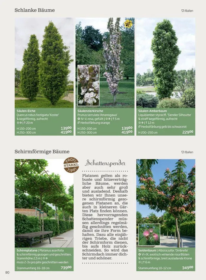 Gartencenter Jahreskatalog 2024 von 20. Mai bis 31. Dezember 2024 - Flugblätt seite  80