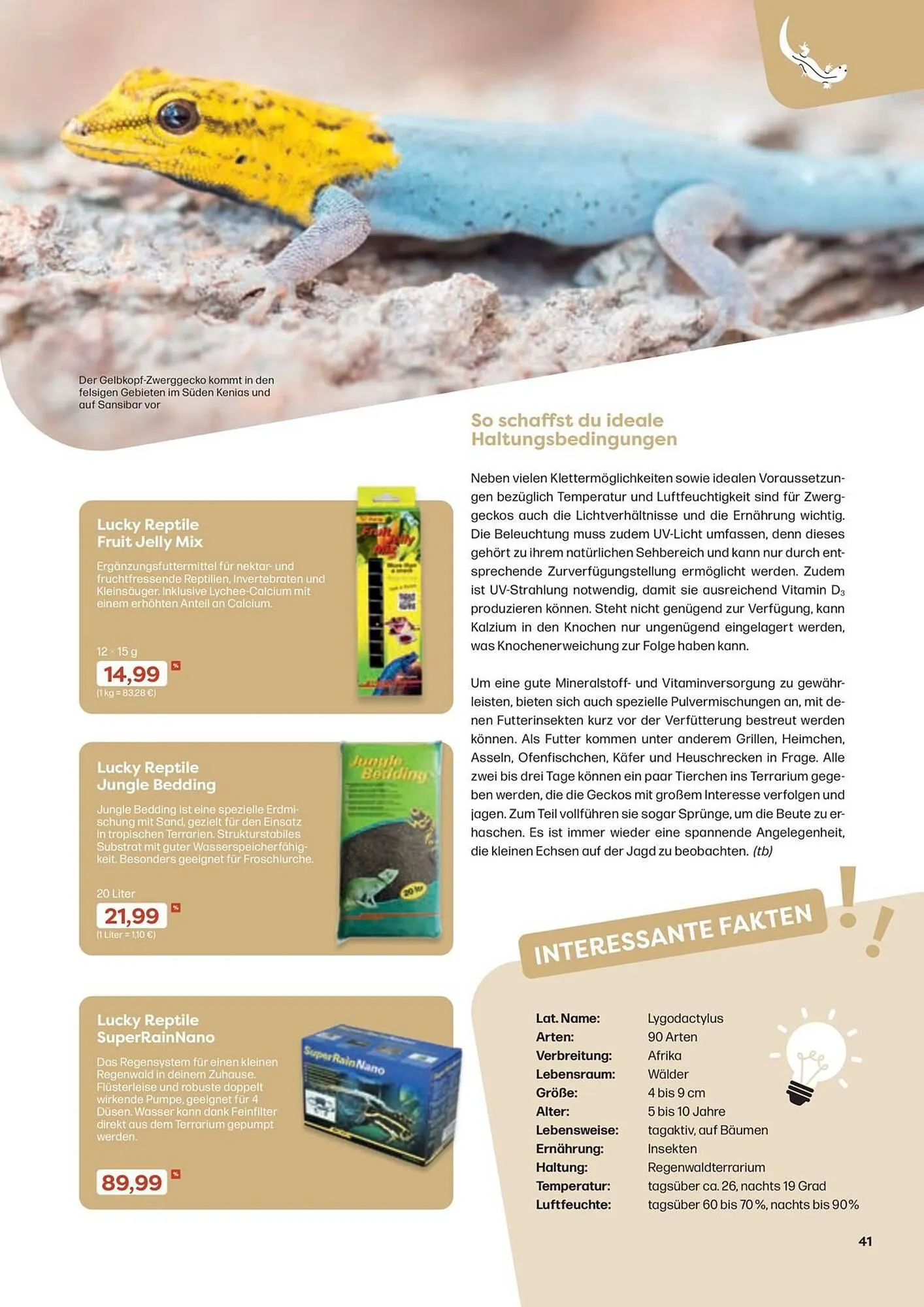 ZOO & Co Flugblatt von 30. August bis 8. November 2024 - Flugblätt seite  41