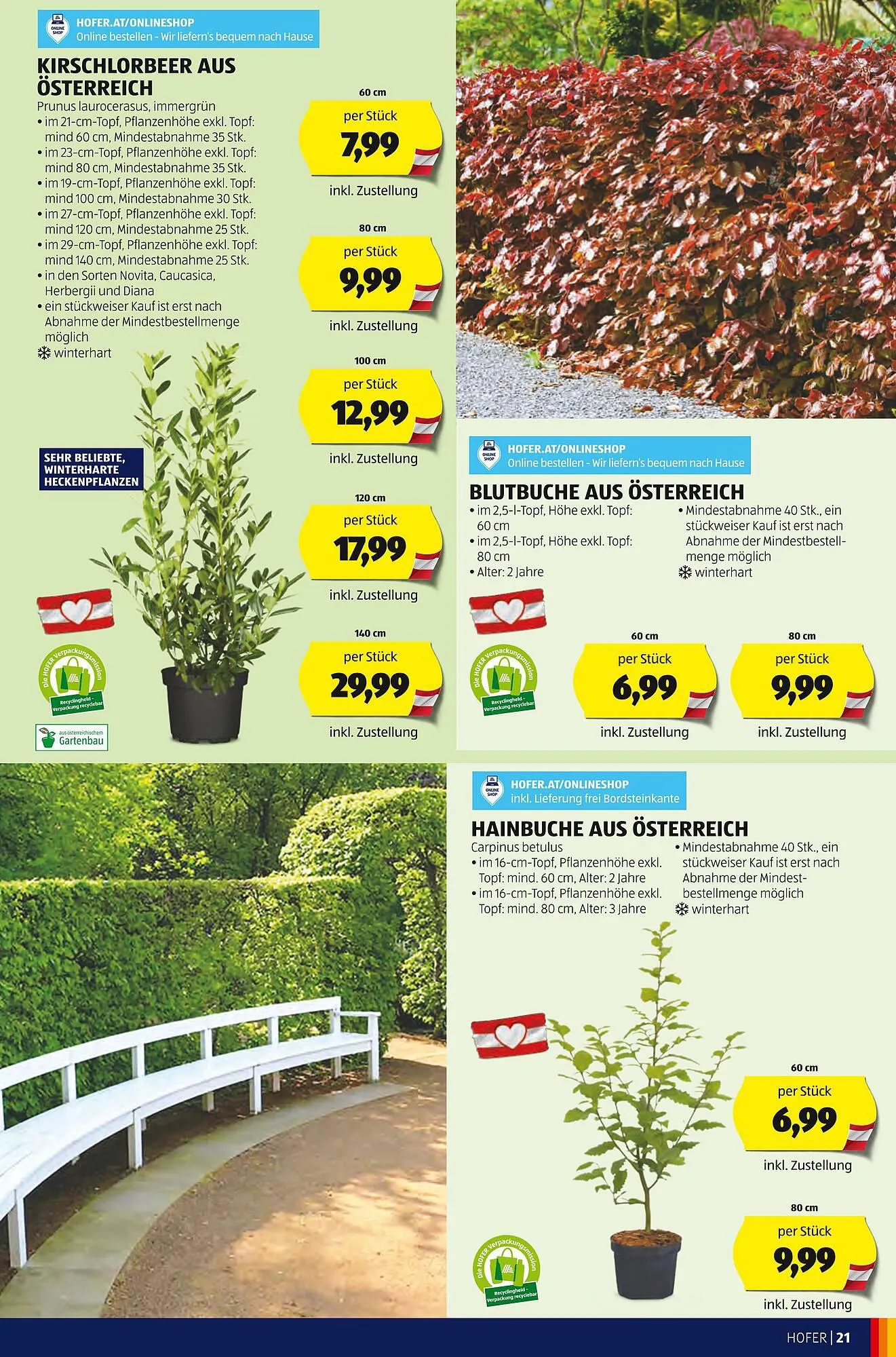 Hofer Flugblatt von 22. März bis 28. März 2024 - Flugblätt seite 23