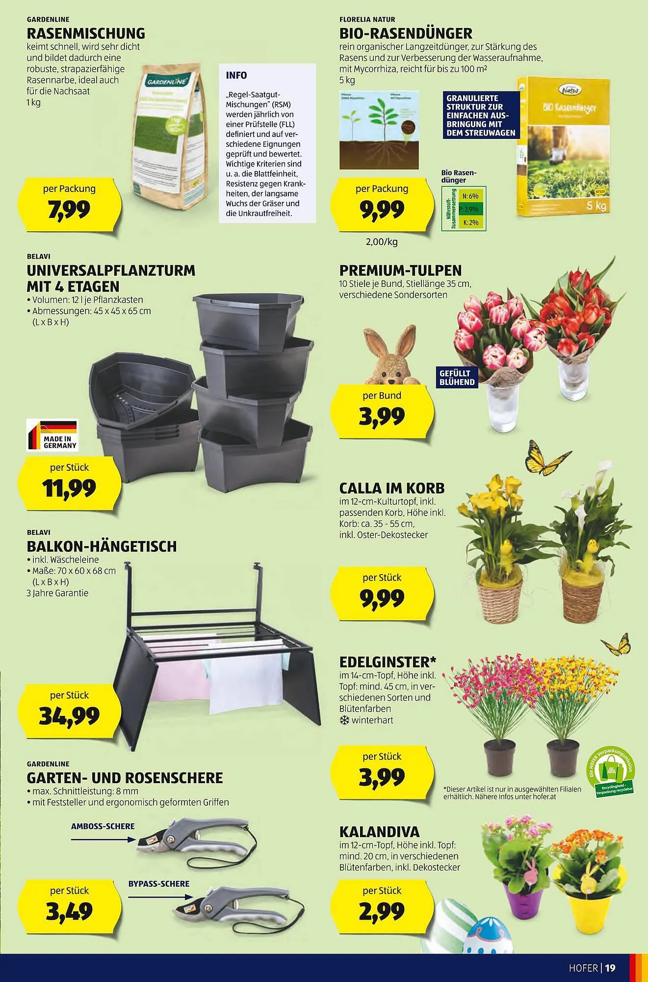 Hofer Flugblatt von 22. März bis 28. März 2024 - Flugblätt seite  21