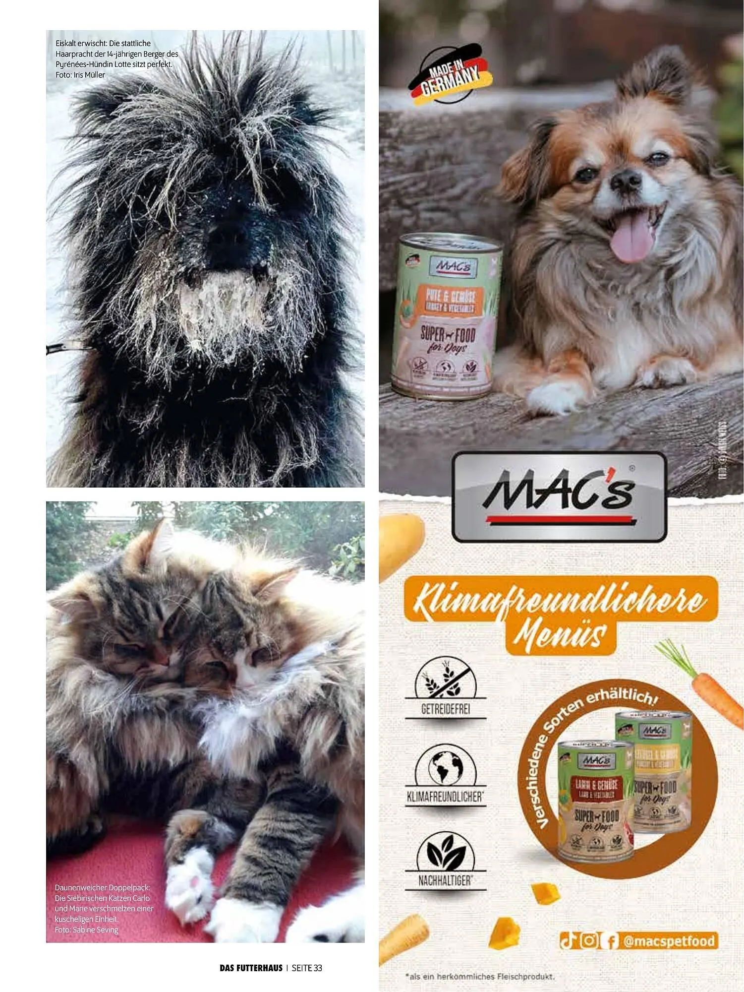 Das Futterhaus Prospekt von 17. Dezember bis 6. Jänner 2026 - Flugblätt seite  33