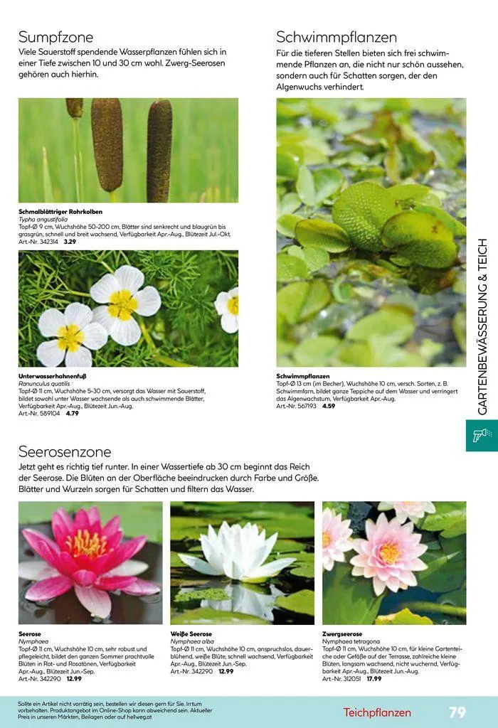 Smartes Gärtnern von 11. Juni bis 31. Dezember 2024 - Flugblätt seite 79