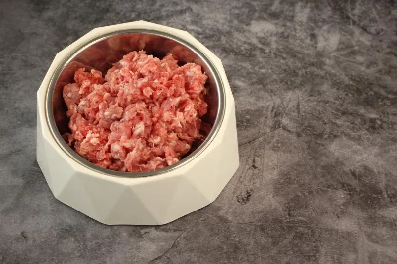 Hund Rind faschiert roh