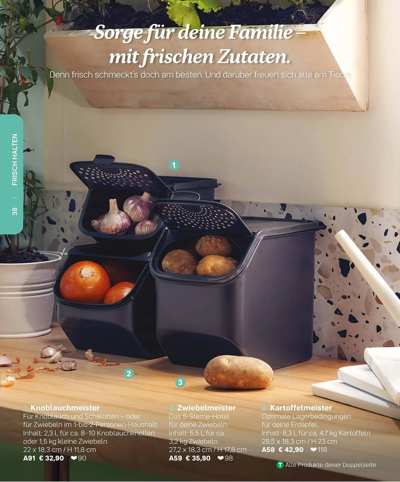 Tupperware Flugblatt von 6. März bis 31. August 2023 - Flugblätt seite  38