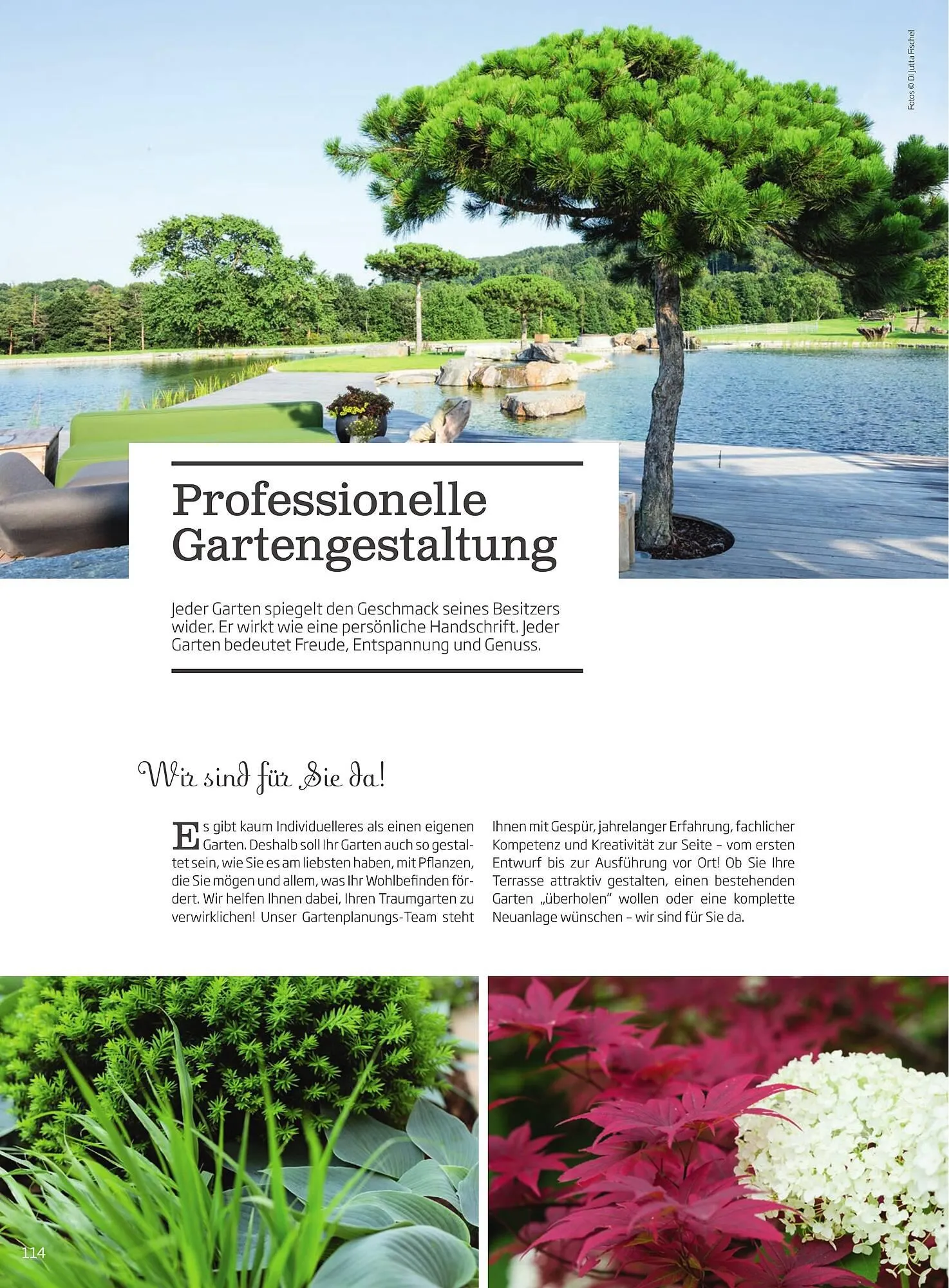 Starkl Flugblatt von 1. April bis 31. Dezember 2024 - Flugblätt seite  114