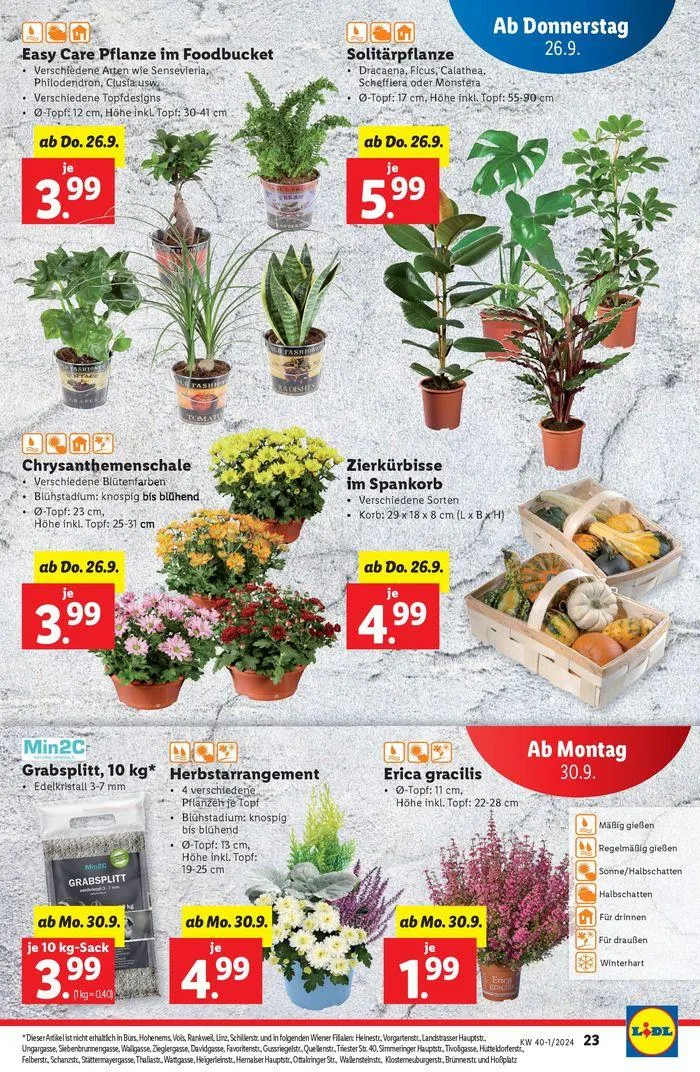 Aktuelle Flugblätter Ab Donnerstag, 26.9. von 26. September bis 2. Oktober 2024 - Flugblätt seite  23