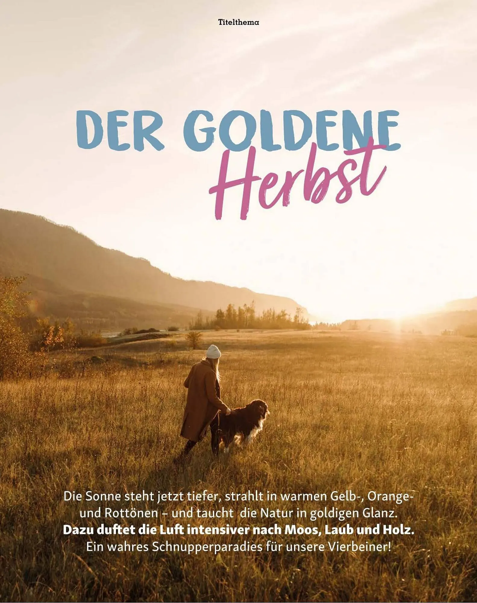 Fressnapf Flugblatt von 30. August bis 31. Oktober 2023 - Flugblätt seite 11