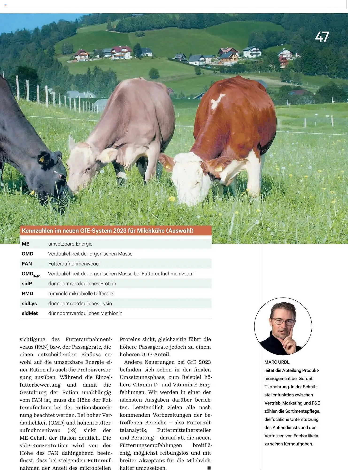 Lagerhaus Flugblatt von 1. Jänner bis 28. Februar 2026 - Flugblätt seite  47