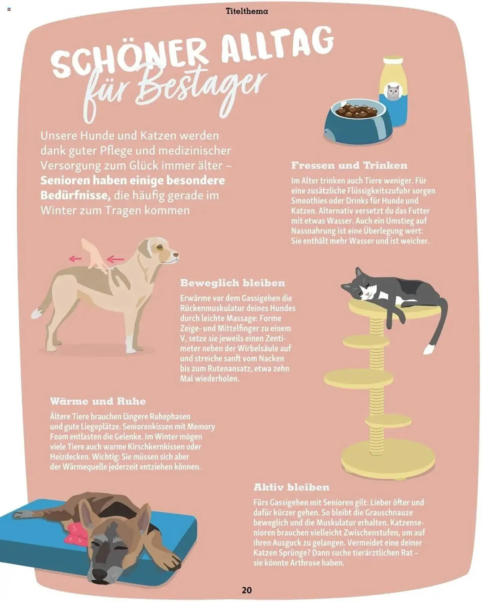 Fressnapf Flugblatt von 2. Jänner bis 2. März 2025 - Flugblätt seite  20