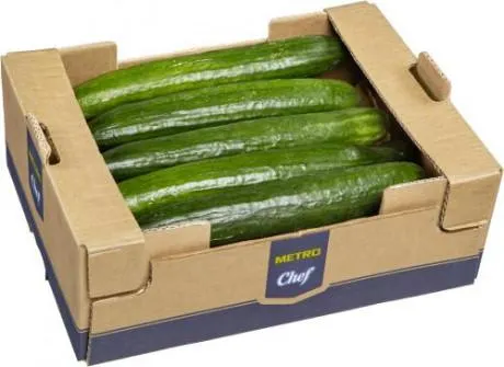 Gurken frisch Spanien