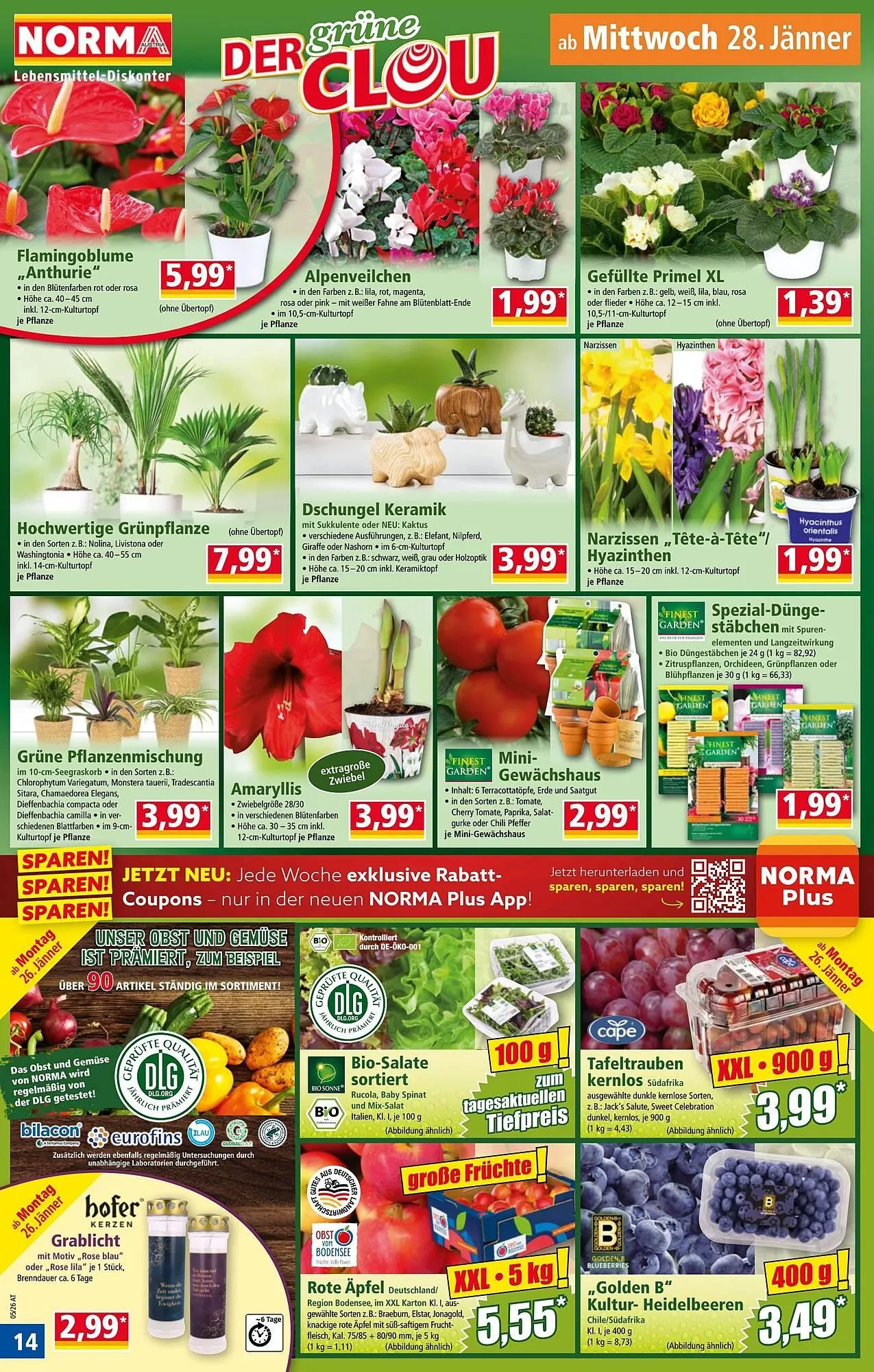 Norma Prospekt von 26. Jänner bis 1. Februar 2026 - Flugblätt seite  14