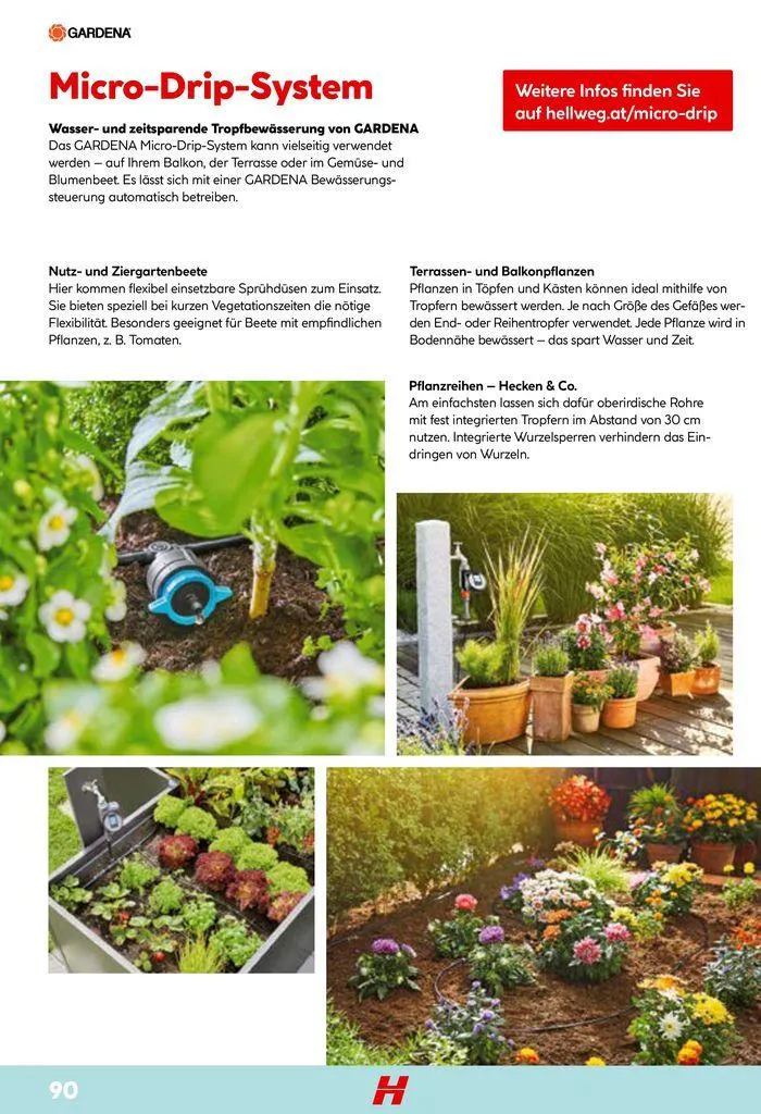 Smartes Gärtnern von 11. Juni bis 31. Dezember 2024 - Flugblätt seite 90