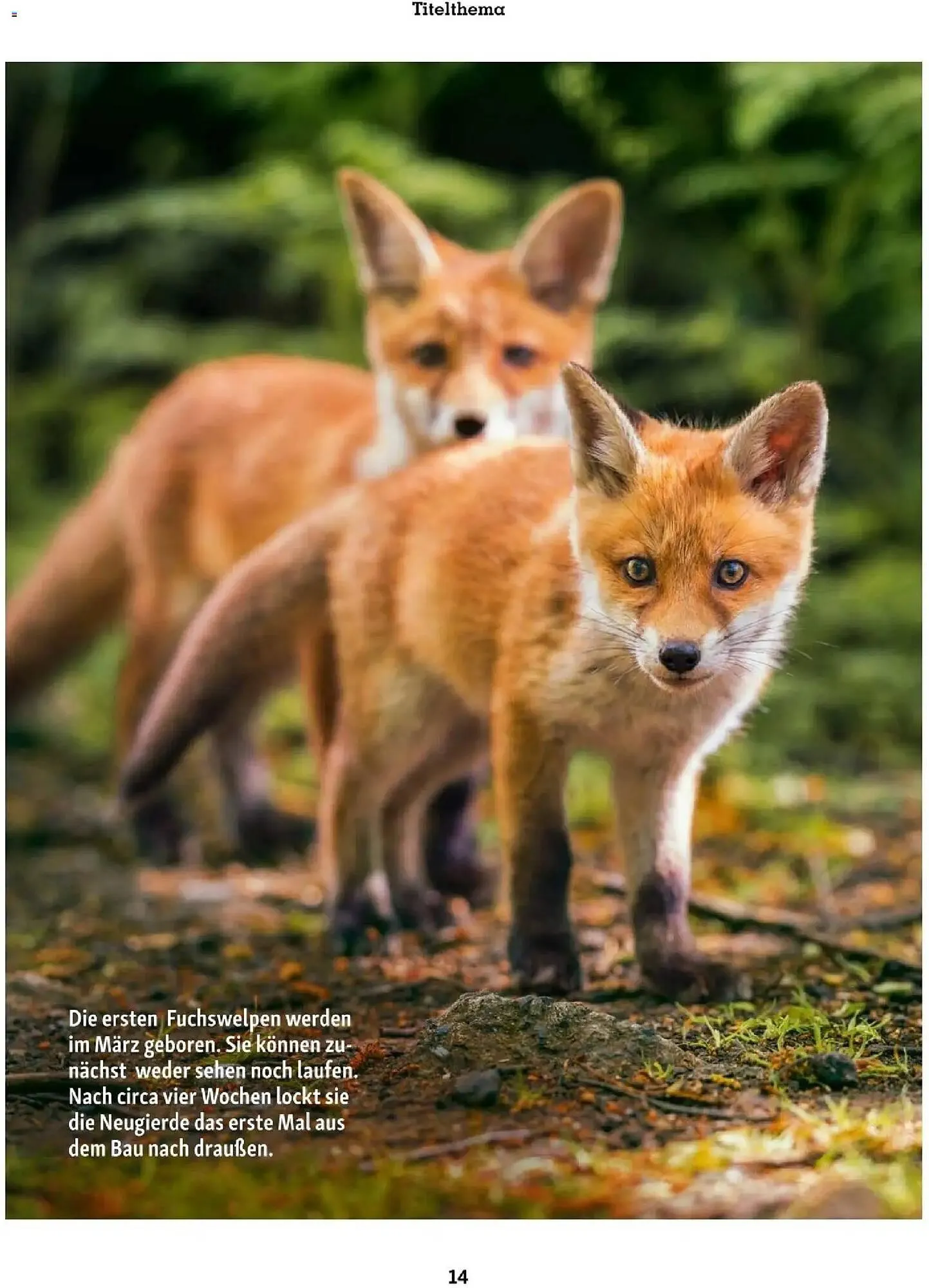 Fressnapf Flugblatt von 1. März bis 30. April 2026 - Flugblätt seite  14