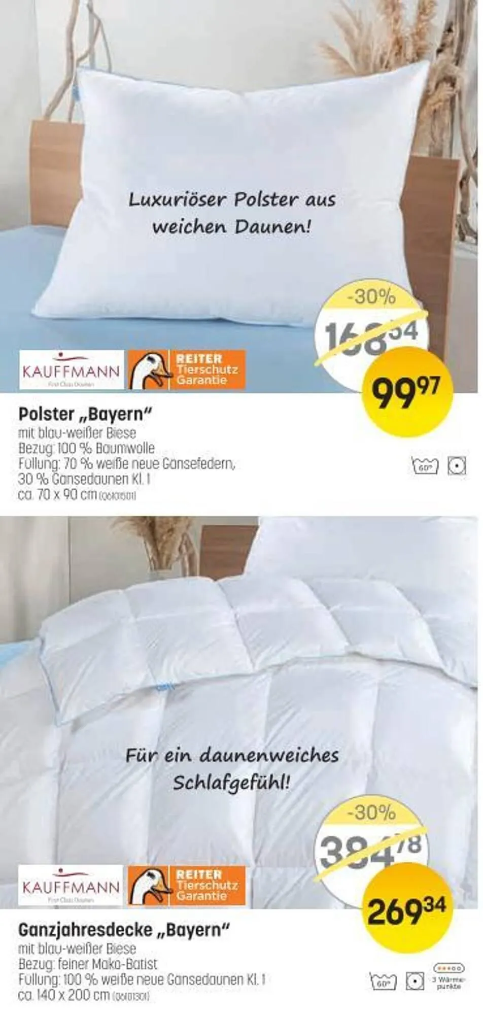 Reiter Flugblatt von 1. Oktober bis 31. Oktober 2025 - Flugblätt seite  2