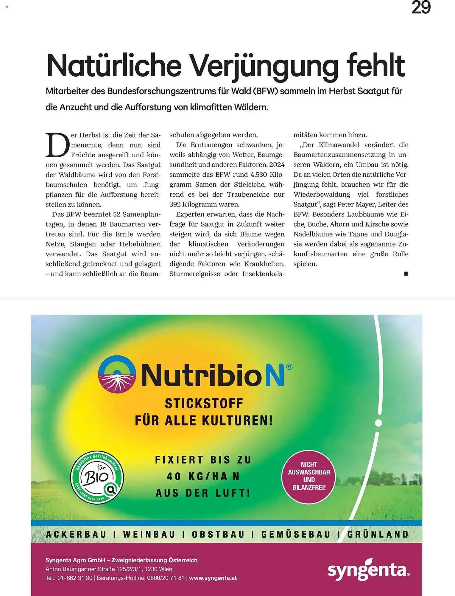 Lagerhaus Flugblatt von 1. Dezember bis 31. Dezember 2025 - Flugblätt seite  29