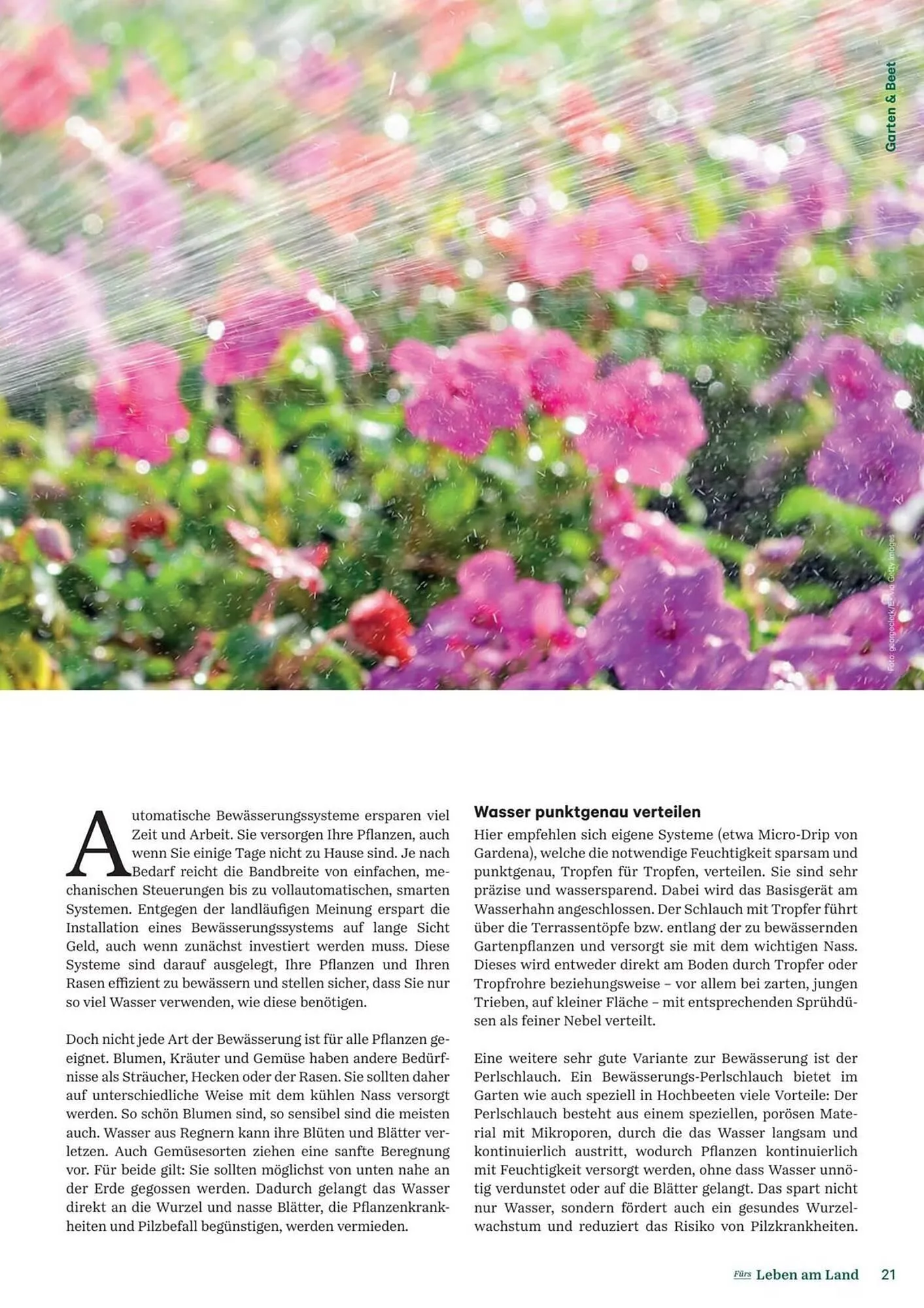 Lagerhaus Flugblatt von 1. Februar bis 28. Februar 2026 - Flugblätt seite  21