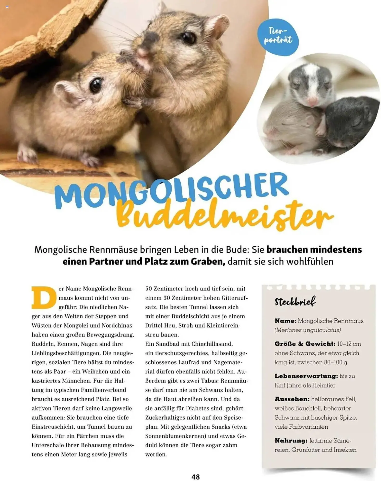 Fressnapf Flugblatt von 1. September bis 31. Oktober 2025 - Flugblätt seite  48