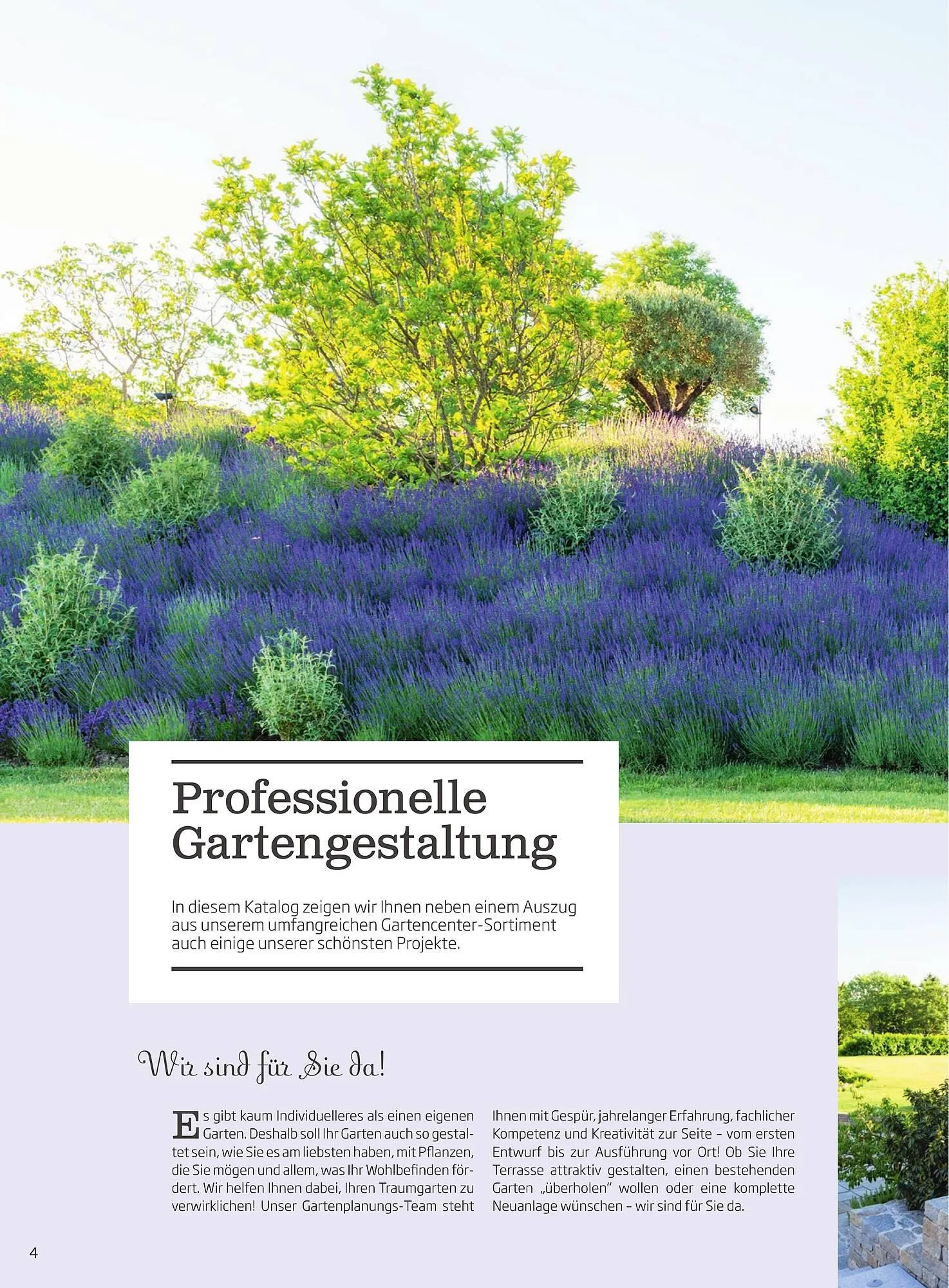 Starkl Flugblatt von 6. Juni bis 31. Dezember 2025 - Flugblätt seite 4