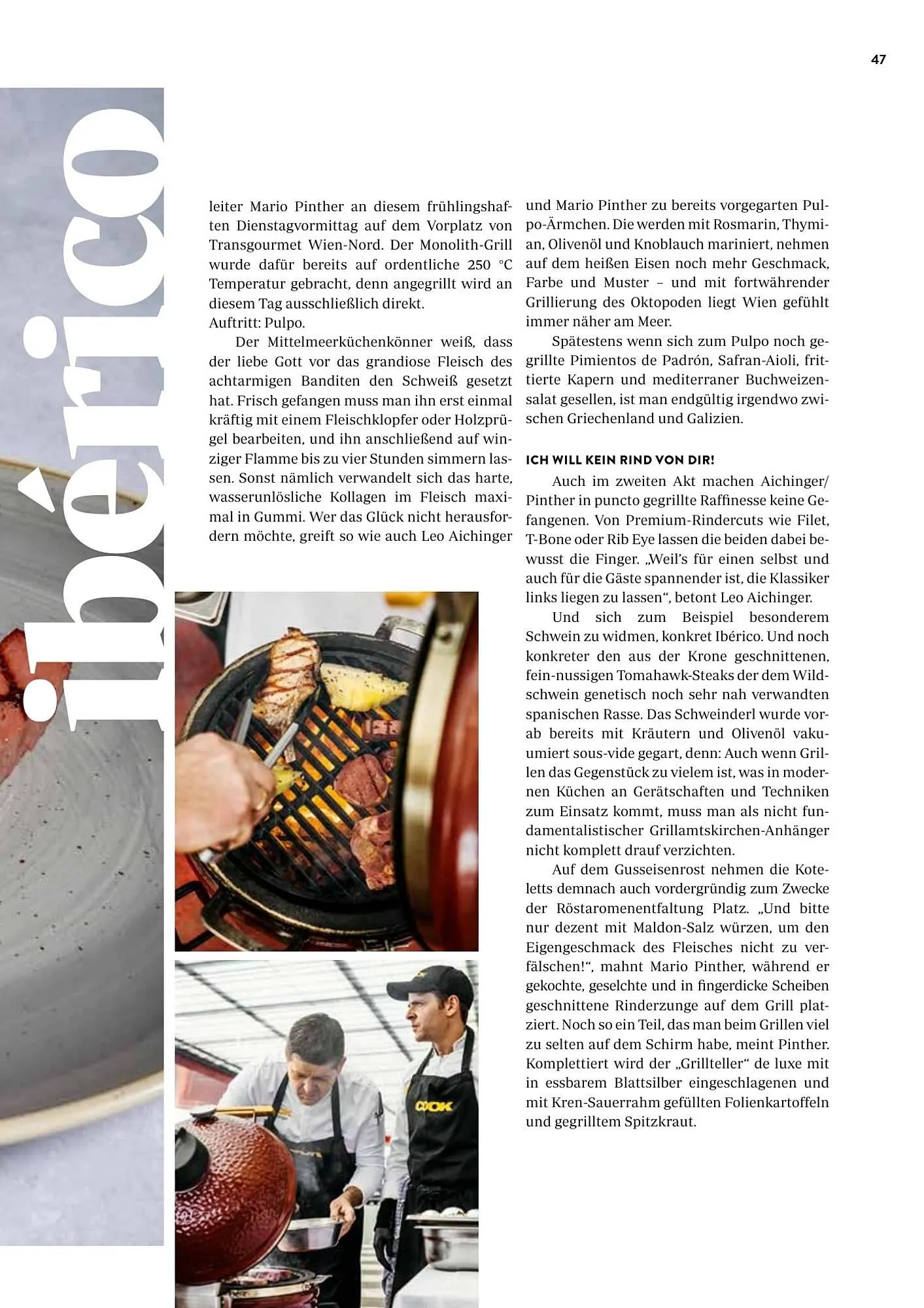 Transgourmet Flugblatt von 22. Mai bis 31. Juli 2026 - Flugblätt seite  49