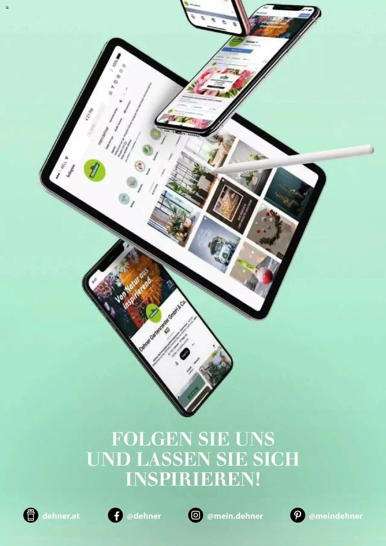 Dehner Flugblatt von 10. Oktober bis 31. Dezember 2023 - Flugblätt seite 99