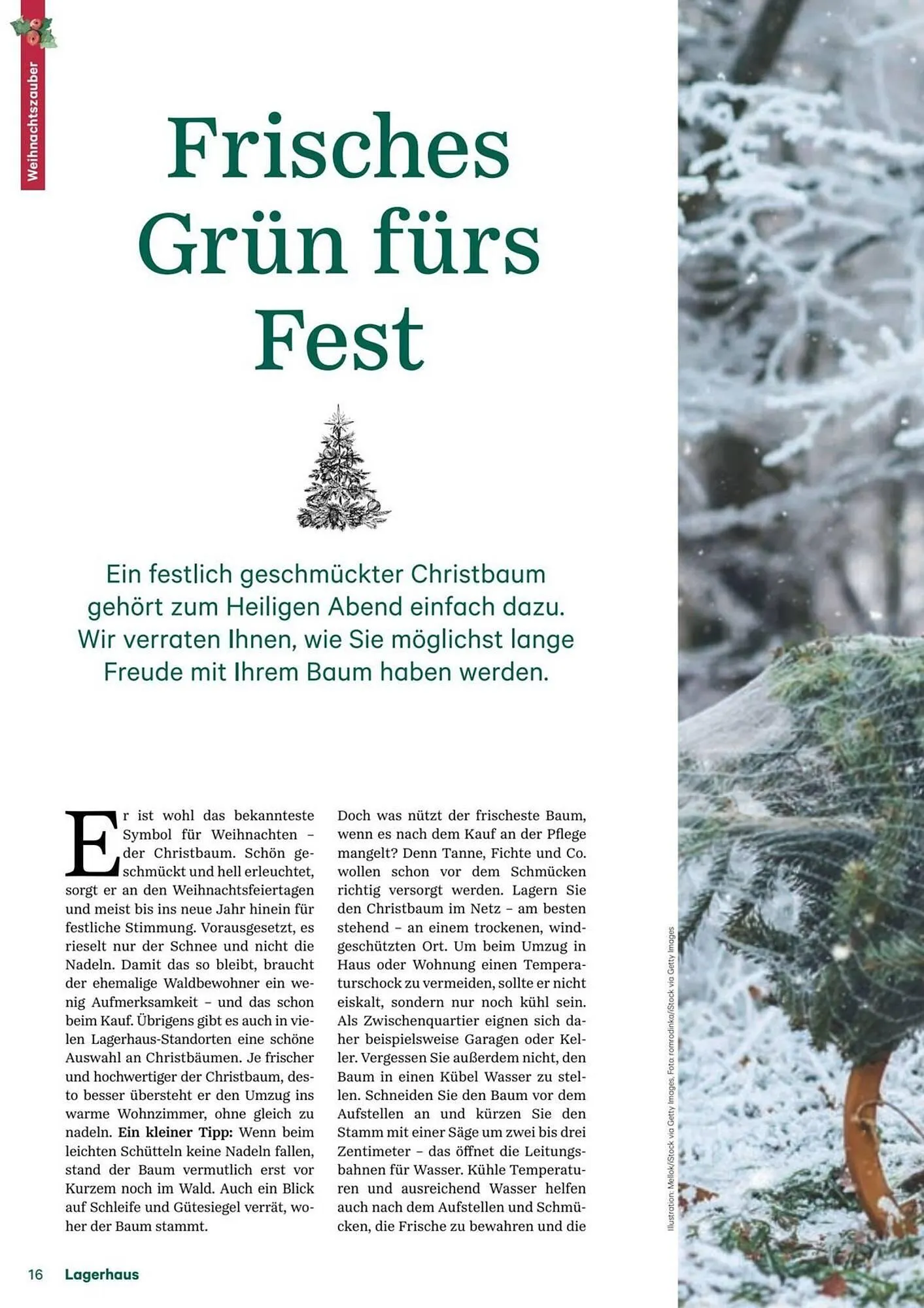 Lagerhaus Flugblatt von 11. Dezember bis 6. Februar 2026 - Flugblätt seite  16