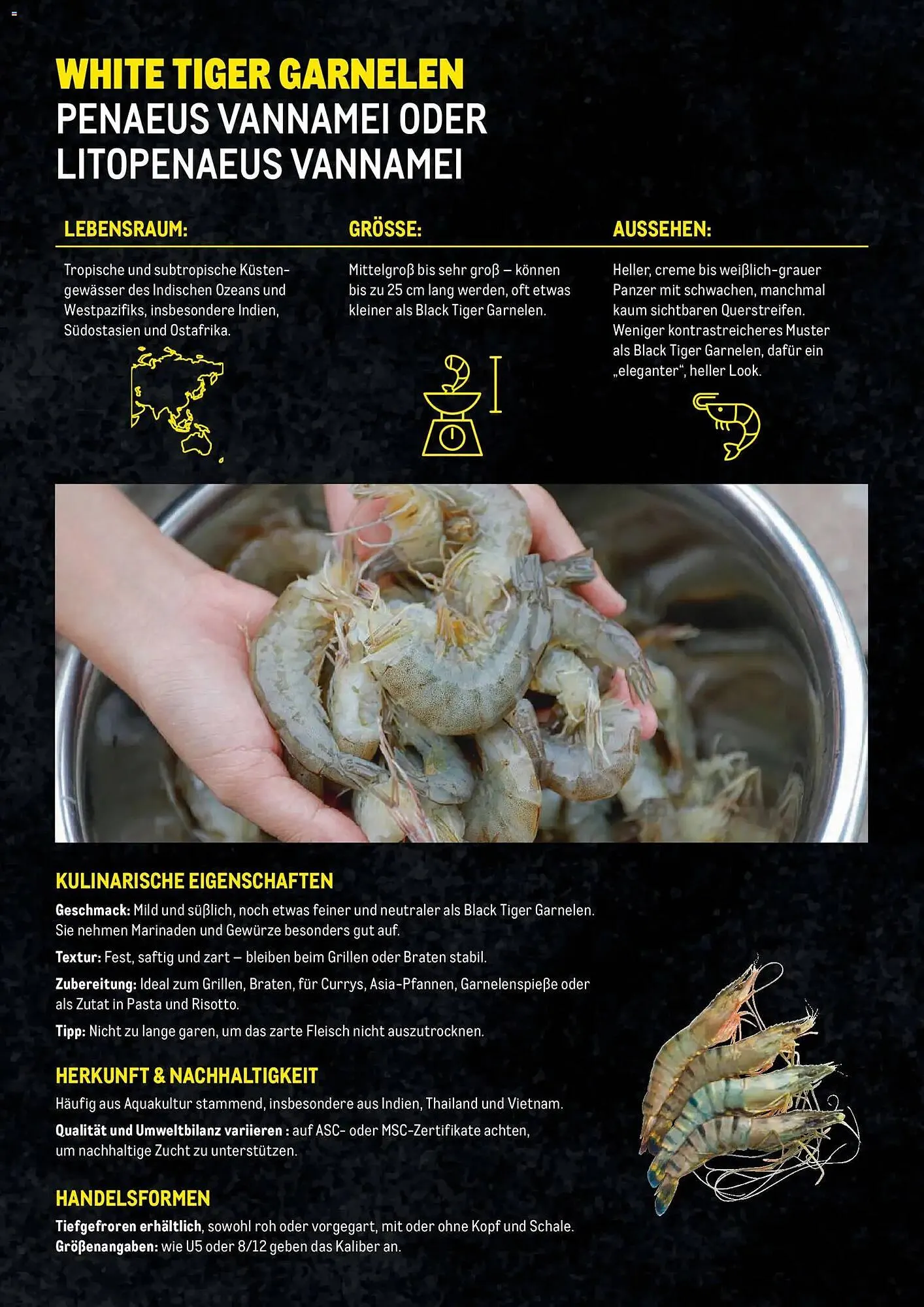 Metro Flugblatt von 27. November bis 31. Dezember 2025 - Flugblätt seite  10