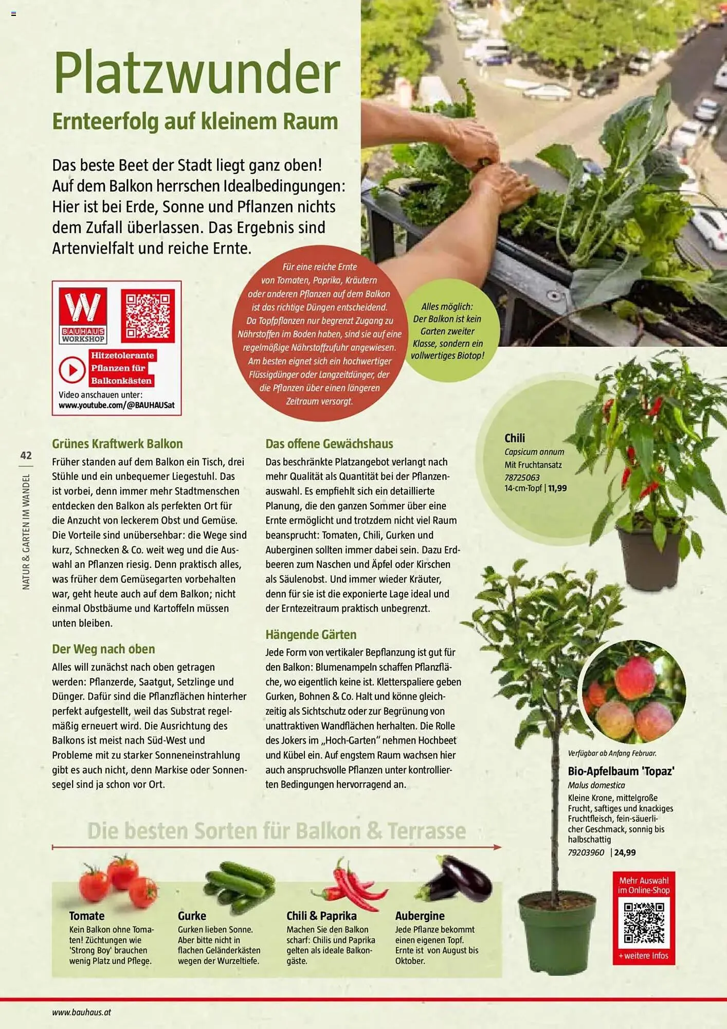 Bauhaus Flugblatt von 1. Juli bis 6. März 2026 - Flugblätt seite  42