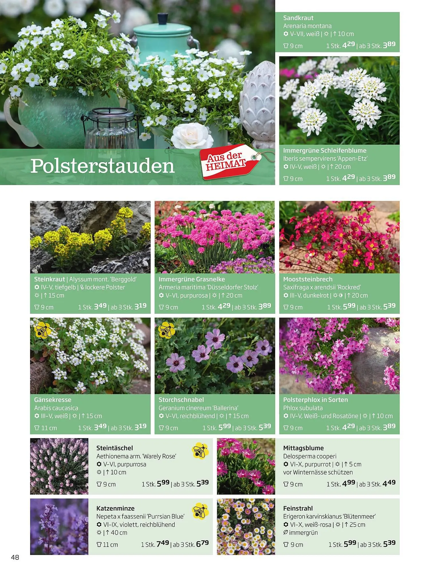 Starkl Flugblatt von 1. April bis 31. Dezember 2024 - Flugblätt seite  48