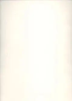 Transparentpapier, weiß, DIN A4, 10 Blatt