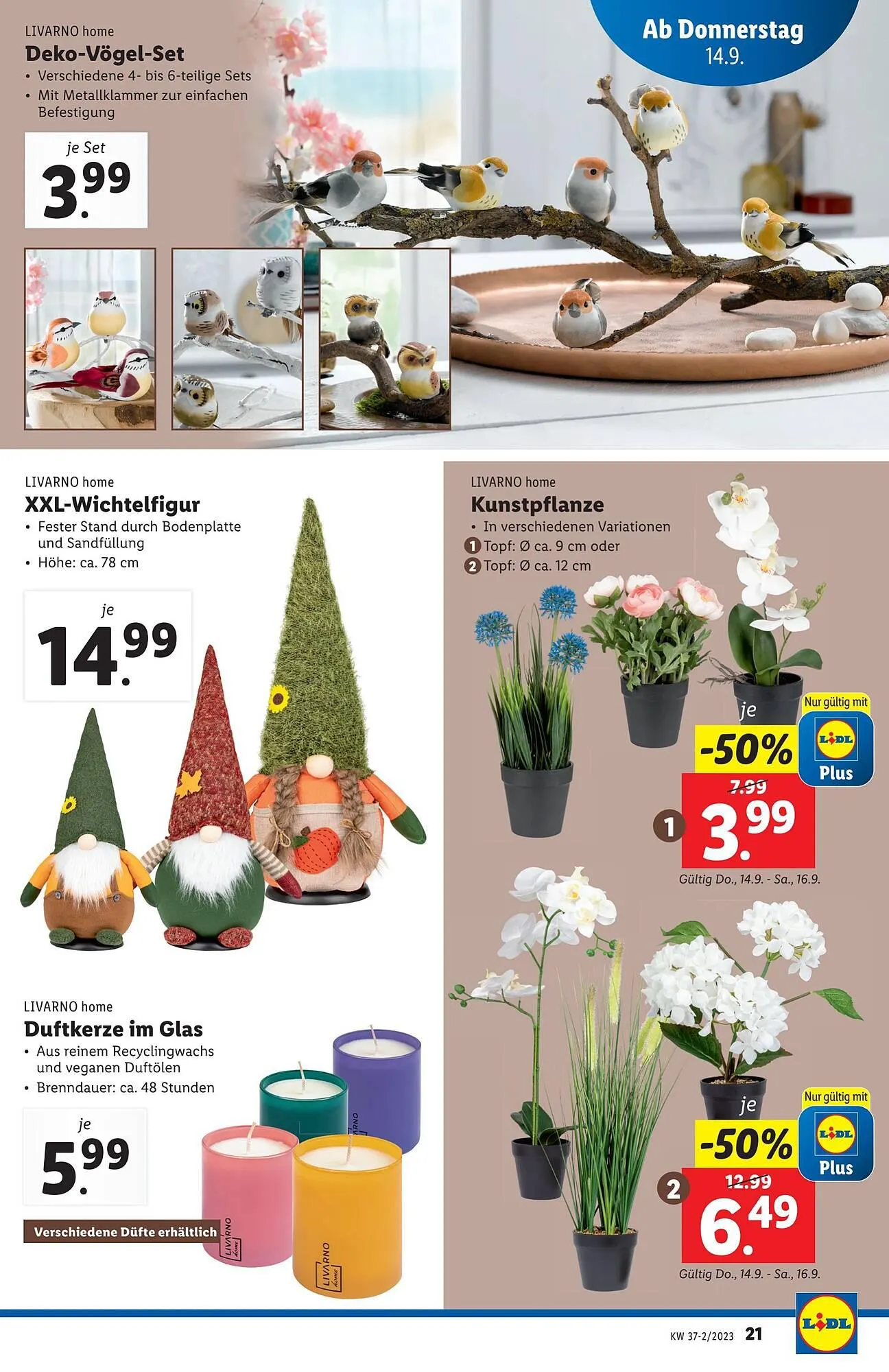 Lidl Flugblatt von 13. September bis 20. September 2023 - Flugblätt seite 21