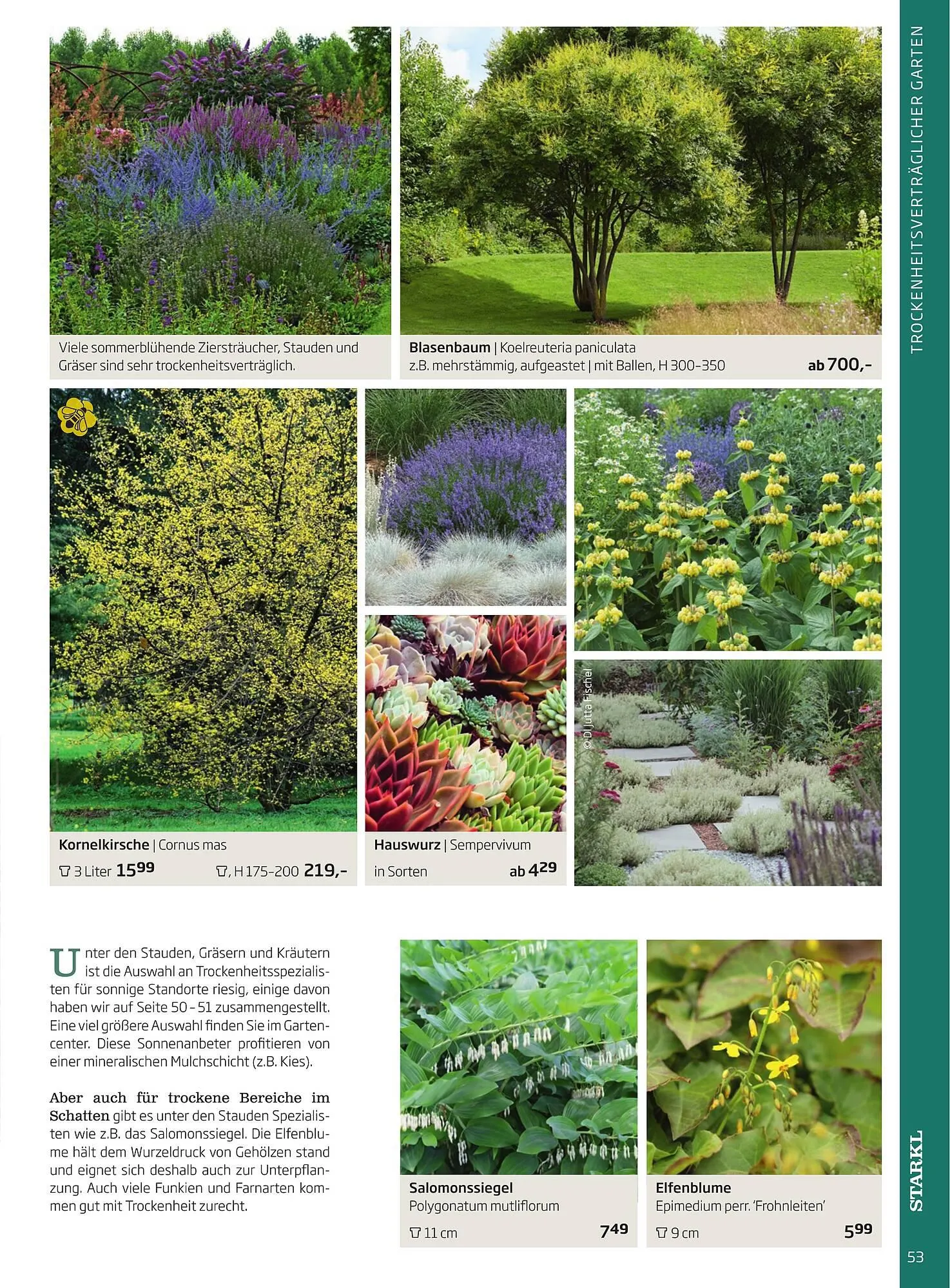 Starkl Flugblatt von 1. April bis 31. Dezember 2024 - Flugblätt seite 53