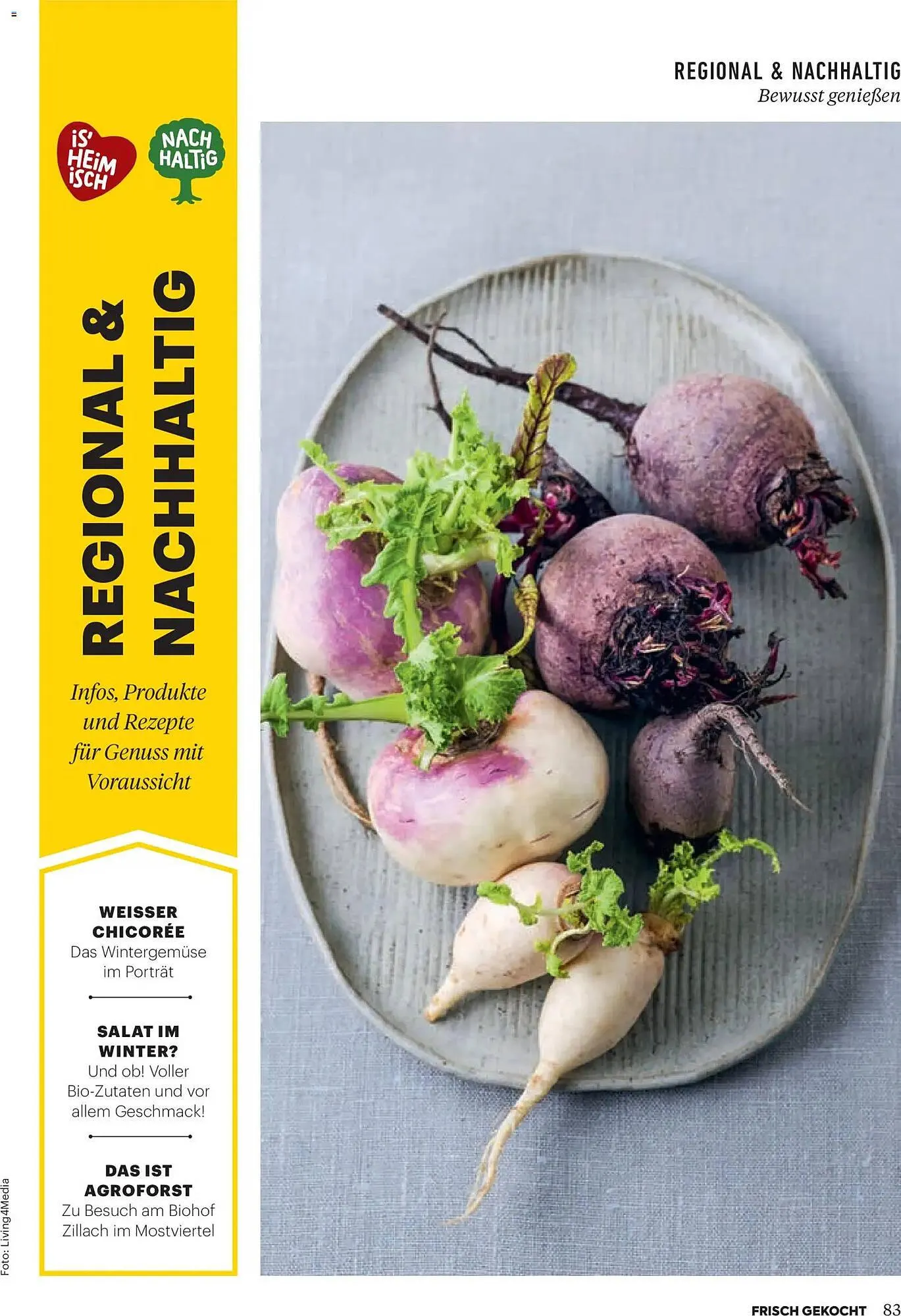 Billa Flugblatt von 1. Jänner bis 28. Februar 2026 - Flugblätt seite 79