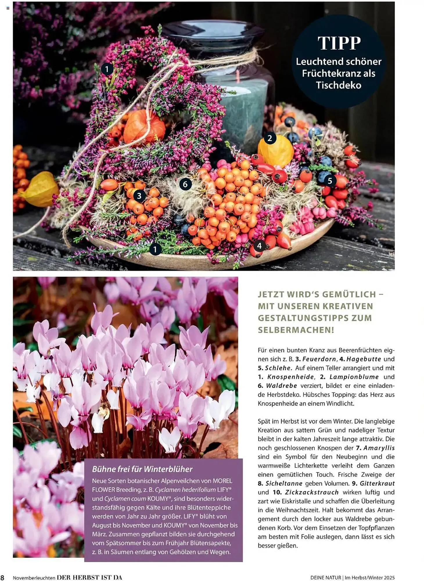 Dehner Flugblatt von 10. Oktober bis 30. November 2025 - Flugblätt seite 8