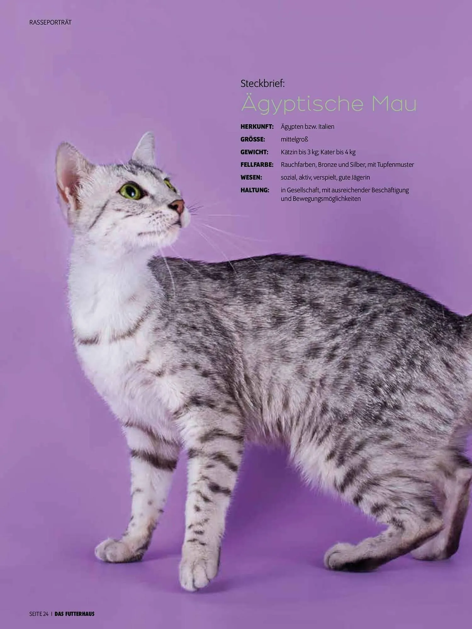 Das Futterhaus Flugblatt von 1. August bis 3. Oktober 2024 - Flugblätt seite 24