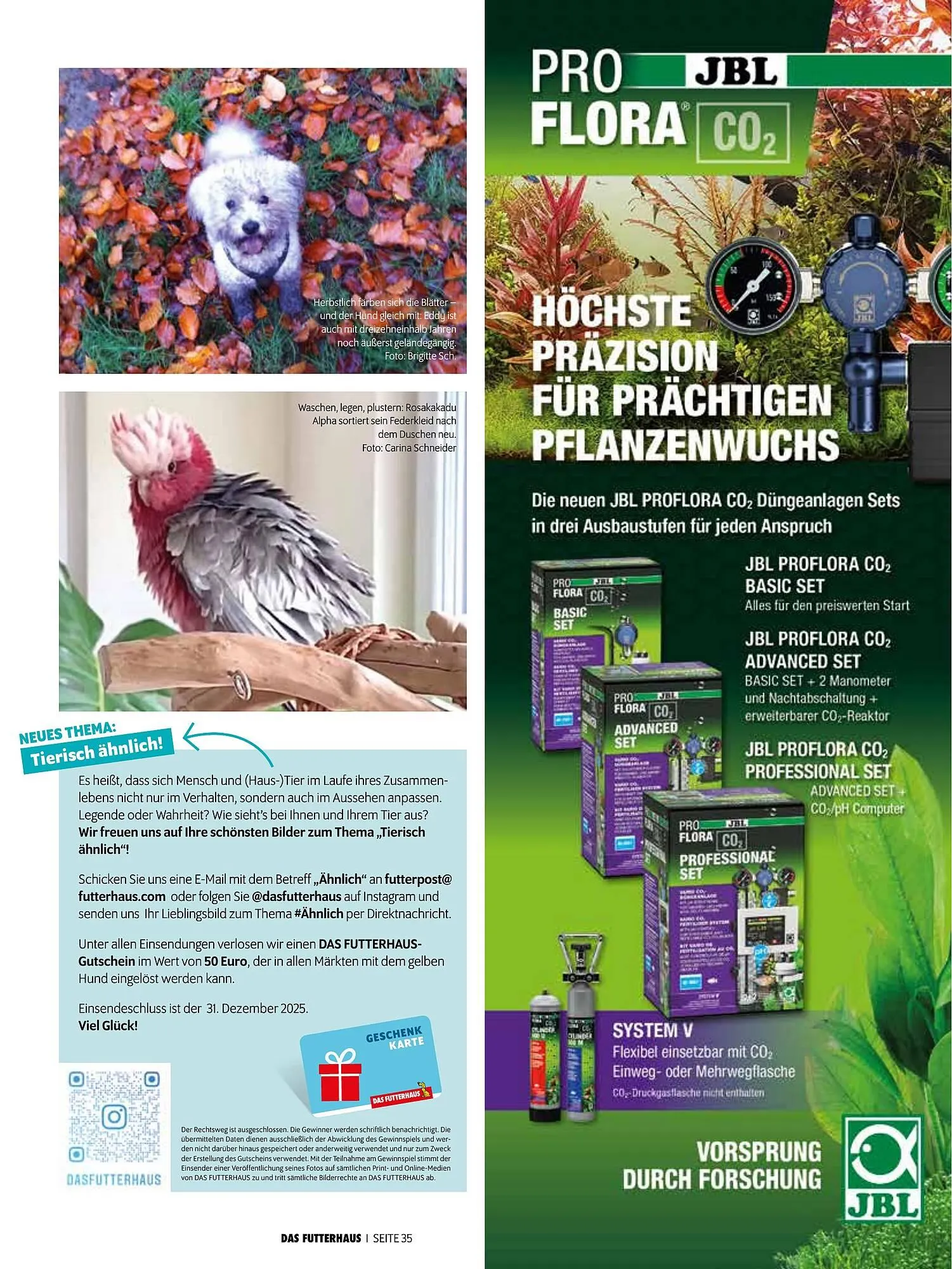 Das Futterhaus Prospekt von 17. Dezember bis 6. Jänner 2026 - Flugblätt seite  35