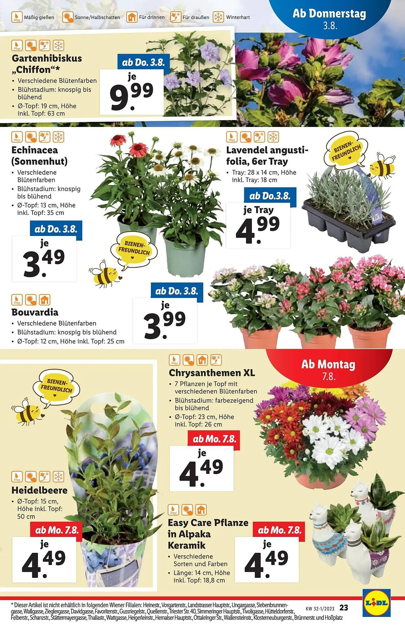 Lidl Flugblatt von 2. August bis 9. August 2023 - Flugblätt seite  23