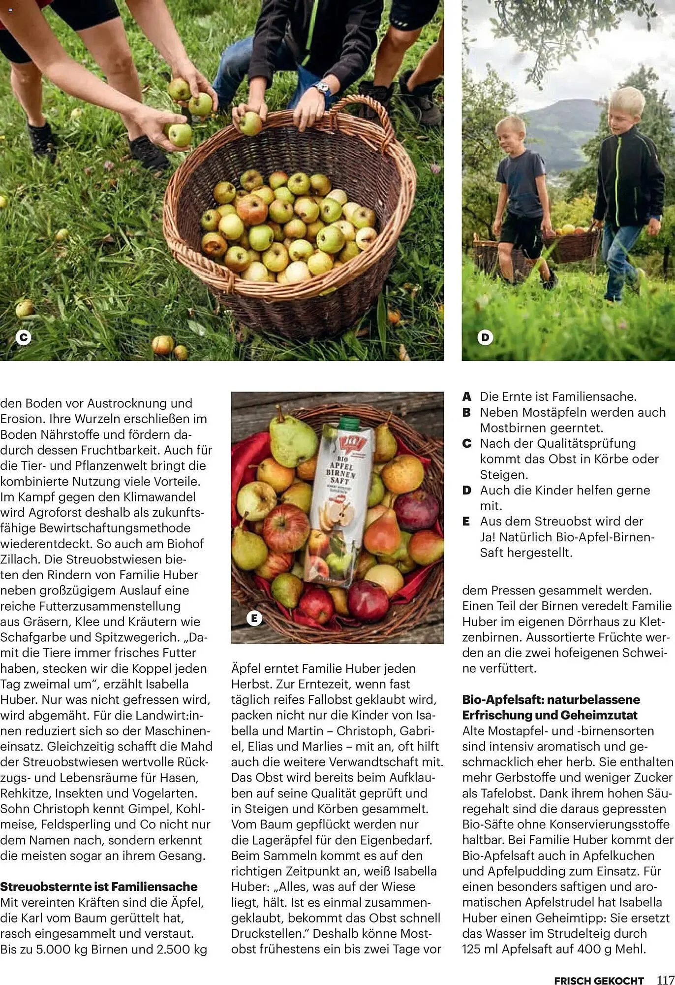 Billa Flugblatt von 1. Jänner bis 28. Februar 2026 - Flugblätt seite  113