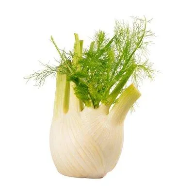 Ja! Natürlich Fenchel