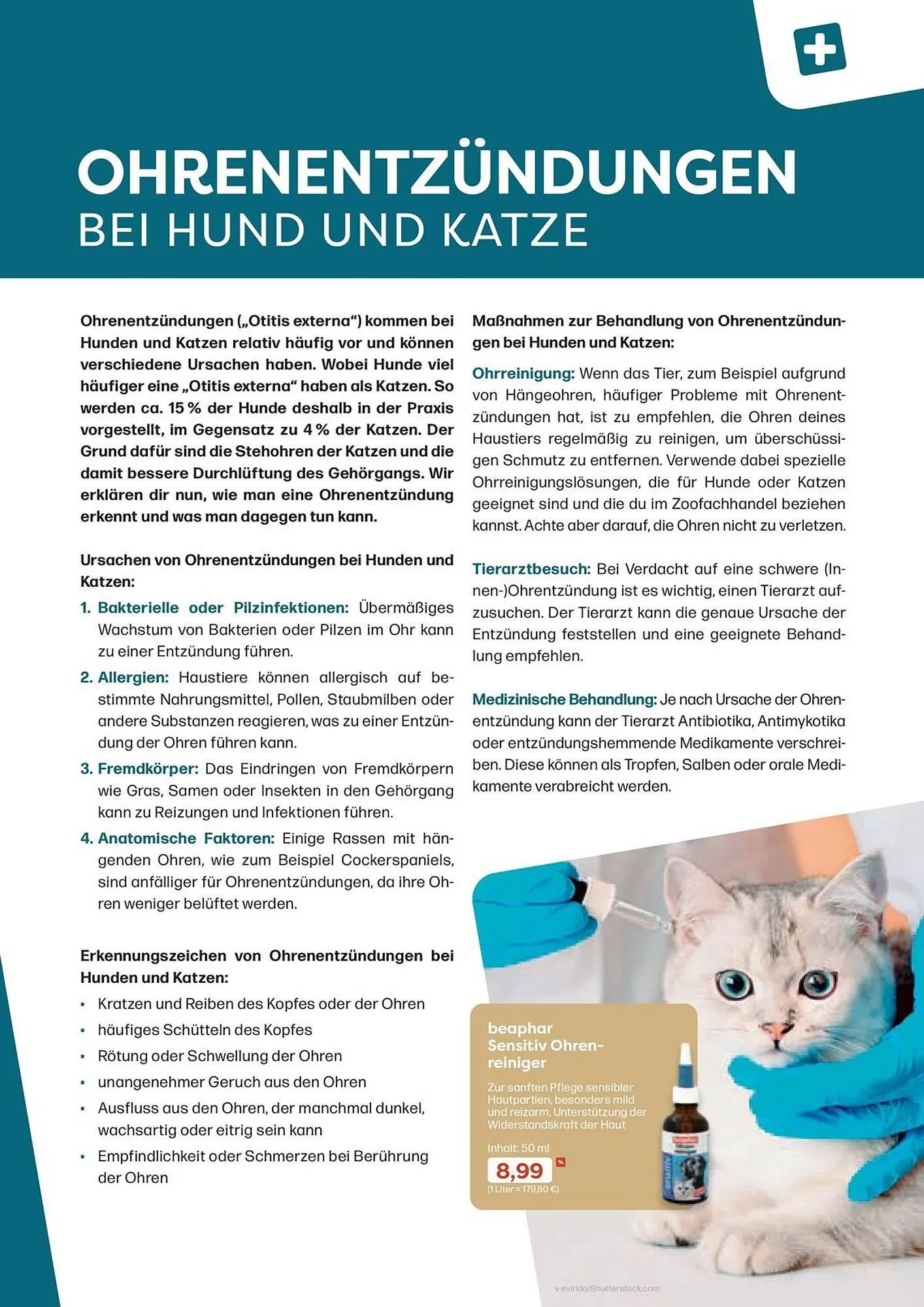 ZOO & Co Flugblatt von 30. August bis 8. November 2024 - Flugblätt seite 33