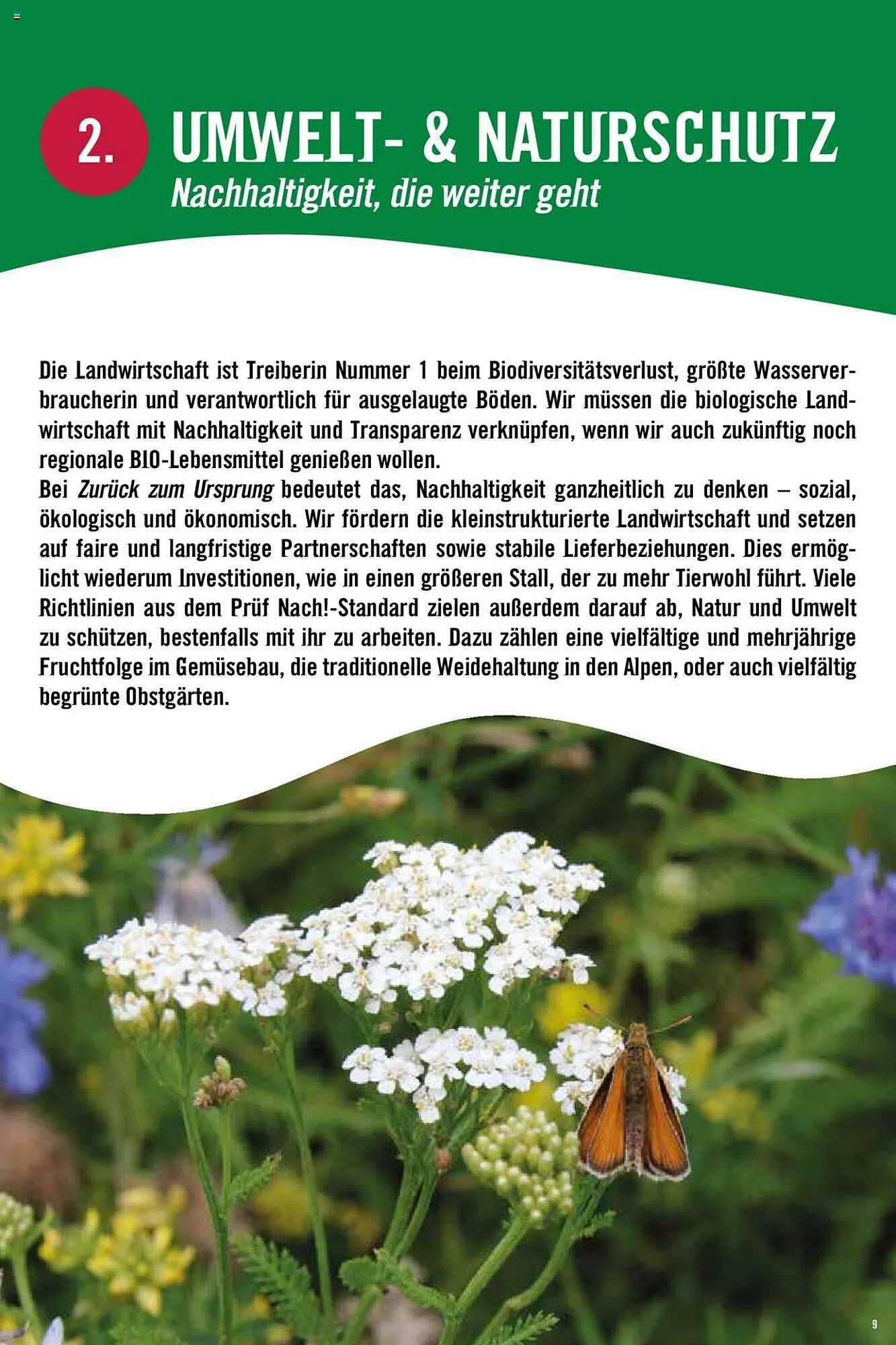 Hofer Flugblatt von 8. Oktober bis 4. März 2026 - Flugblätt seite  9