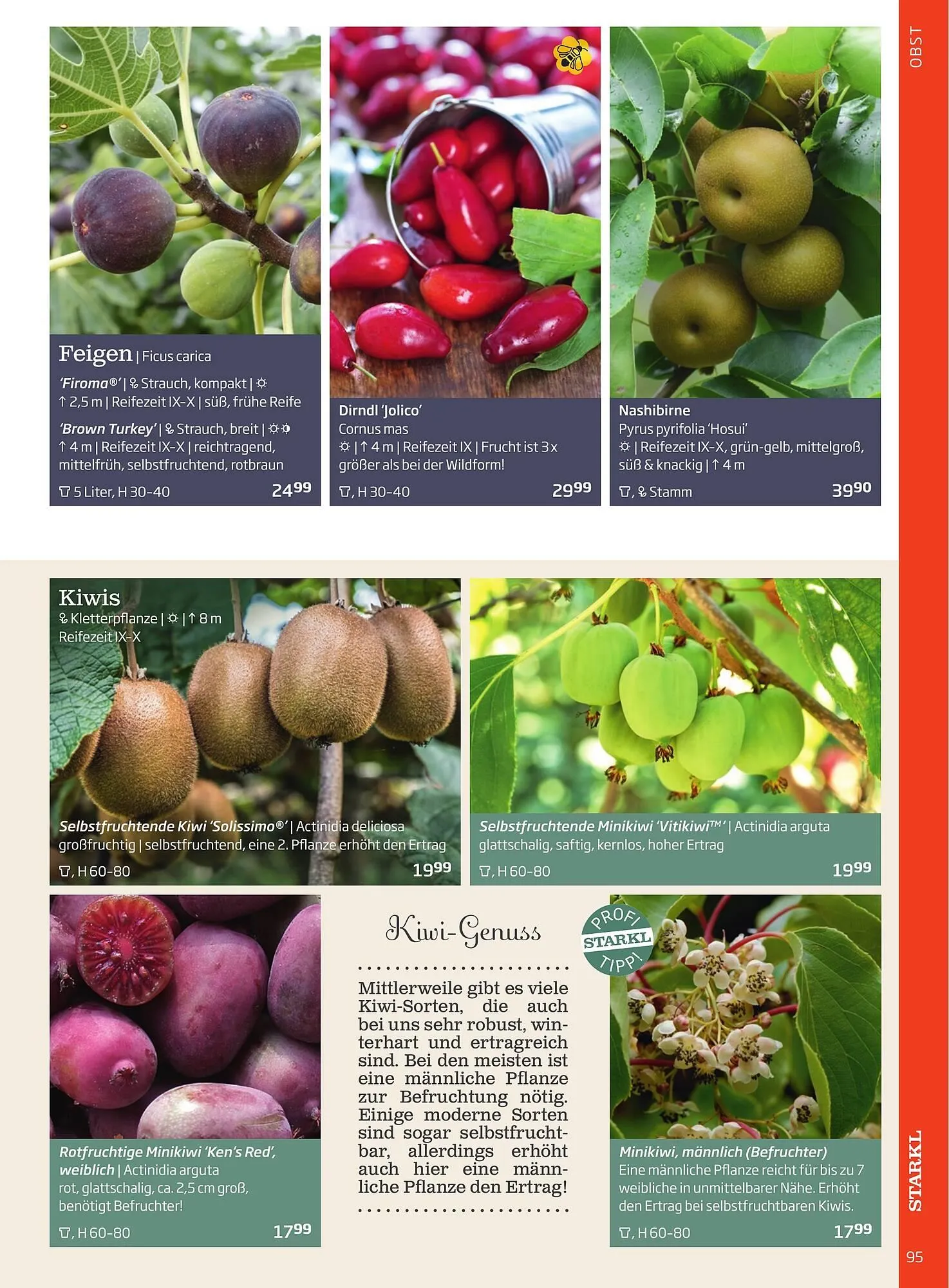 Starkl Flugblatt von 1. Jänner bis 31. Dezember 2023 - Flugblätt seite 95