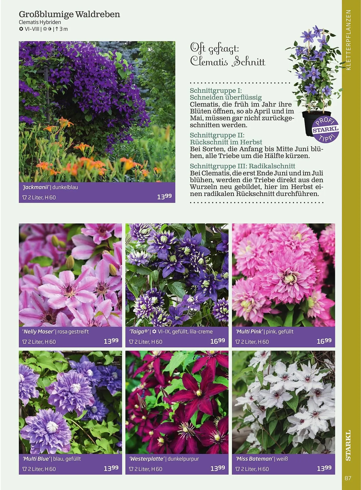 Starkl Flugblatt von 1. Jänner bis 31. Dezember 2023 - Flugblätt seite  87