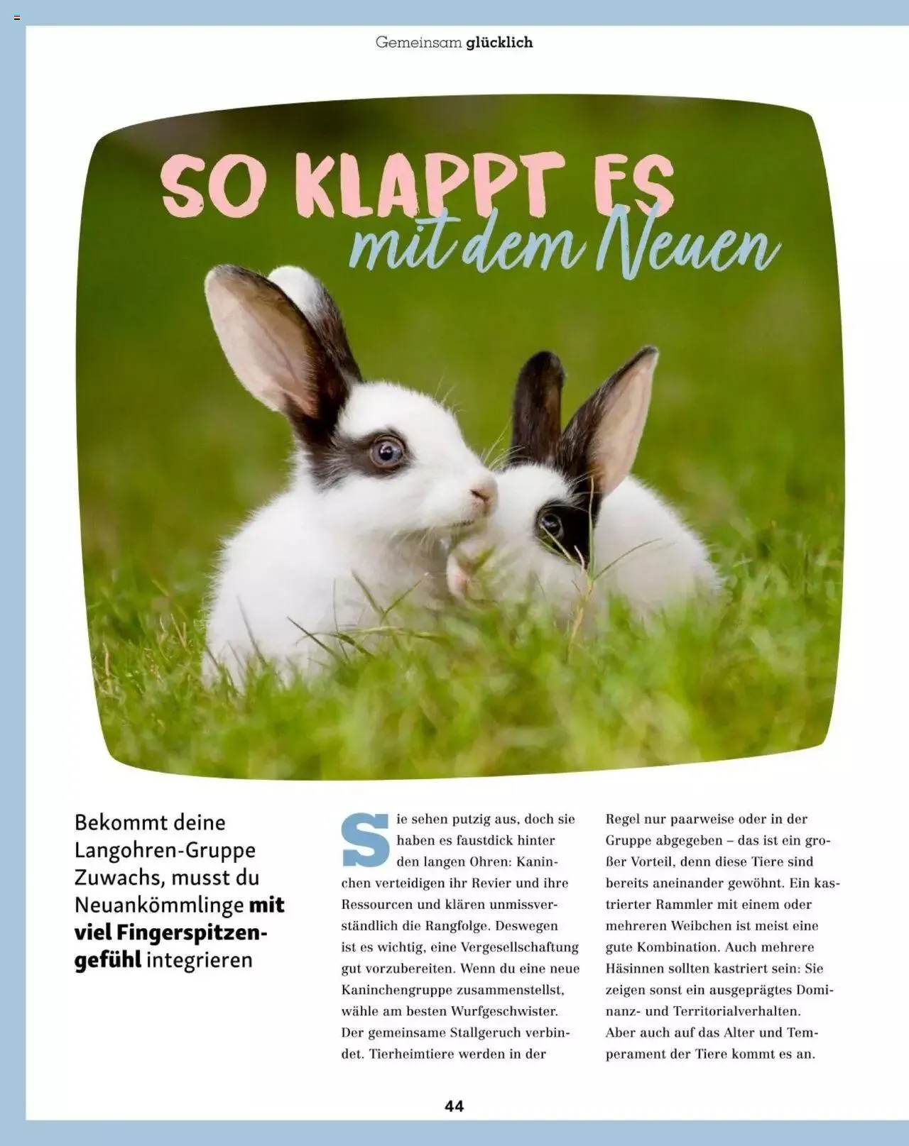 Fressnapf Friends 02/2023 von 1. März bis 31. Dezember 2023 - Flugblätt seite 44