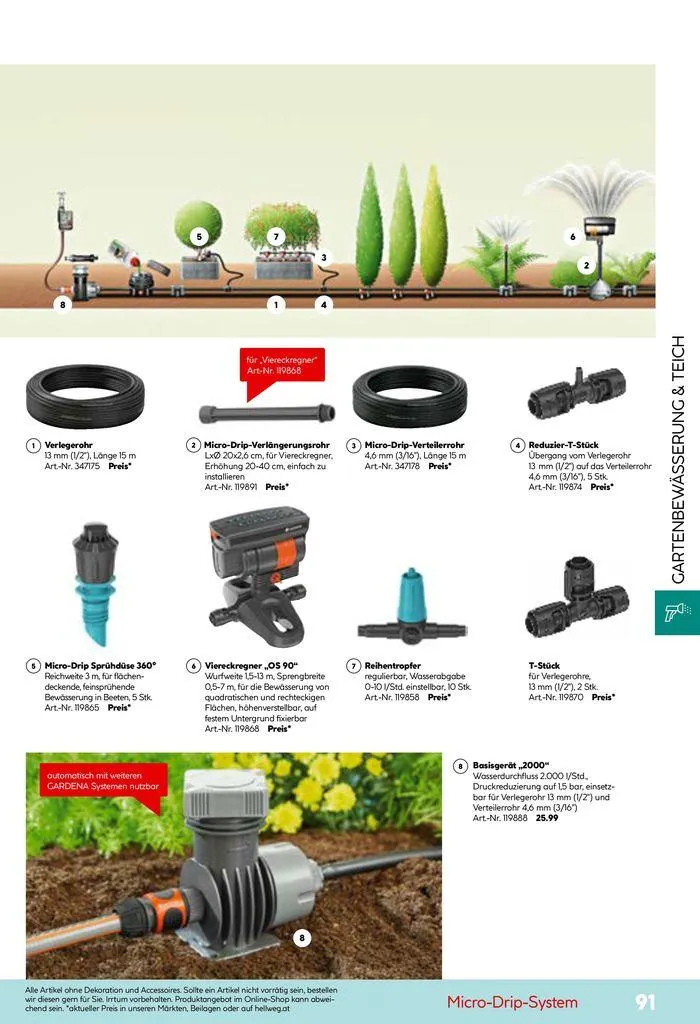 Smartes Gärtnern von 11. Juni bis 31. Dezember 2024 - Flugblätt seite 91