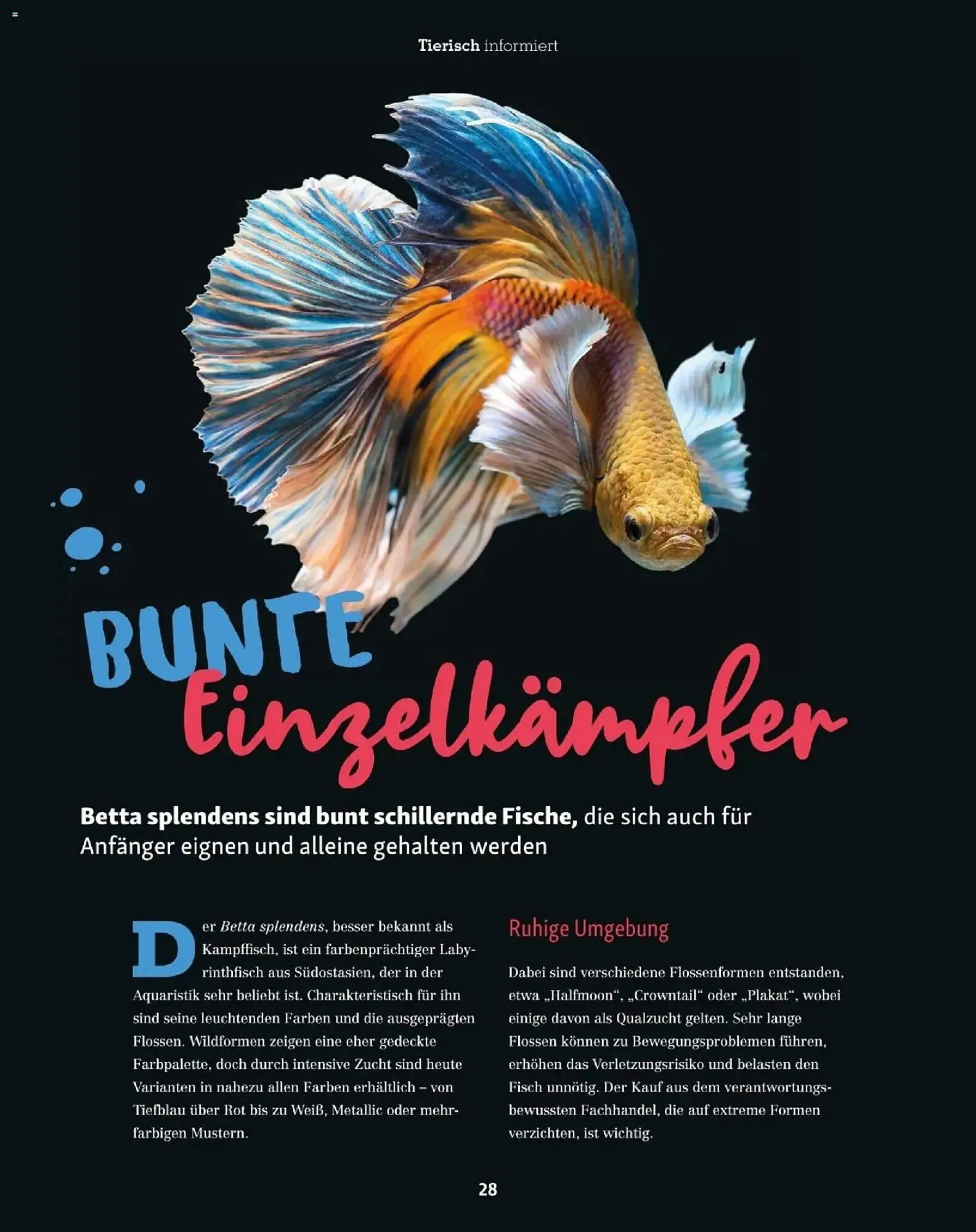 Fressnapf Flugblatt von 1. November bis 31. Dezember 2025 - Flugblätt seite  28