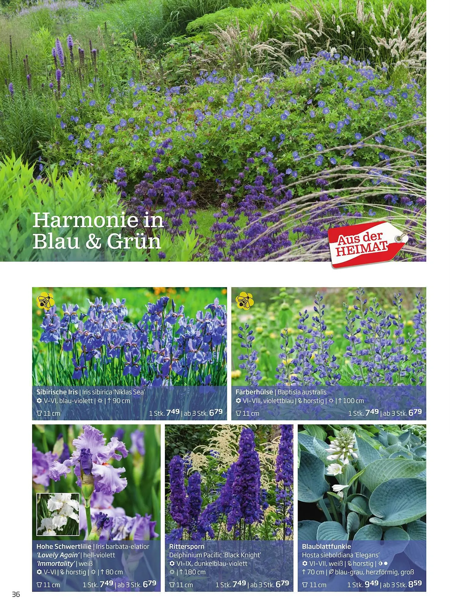 Starkl Flugblatt von 1. April bis 31. Dezember 2024 - Flugblätt seite  36