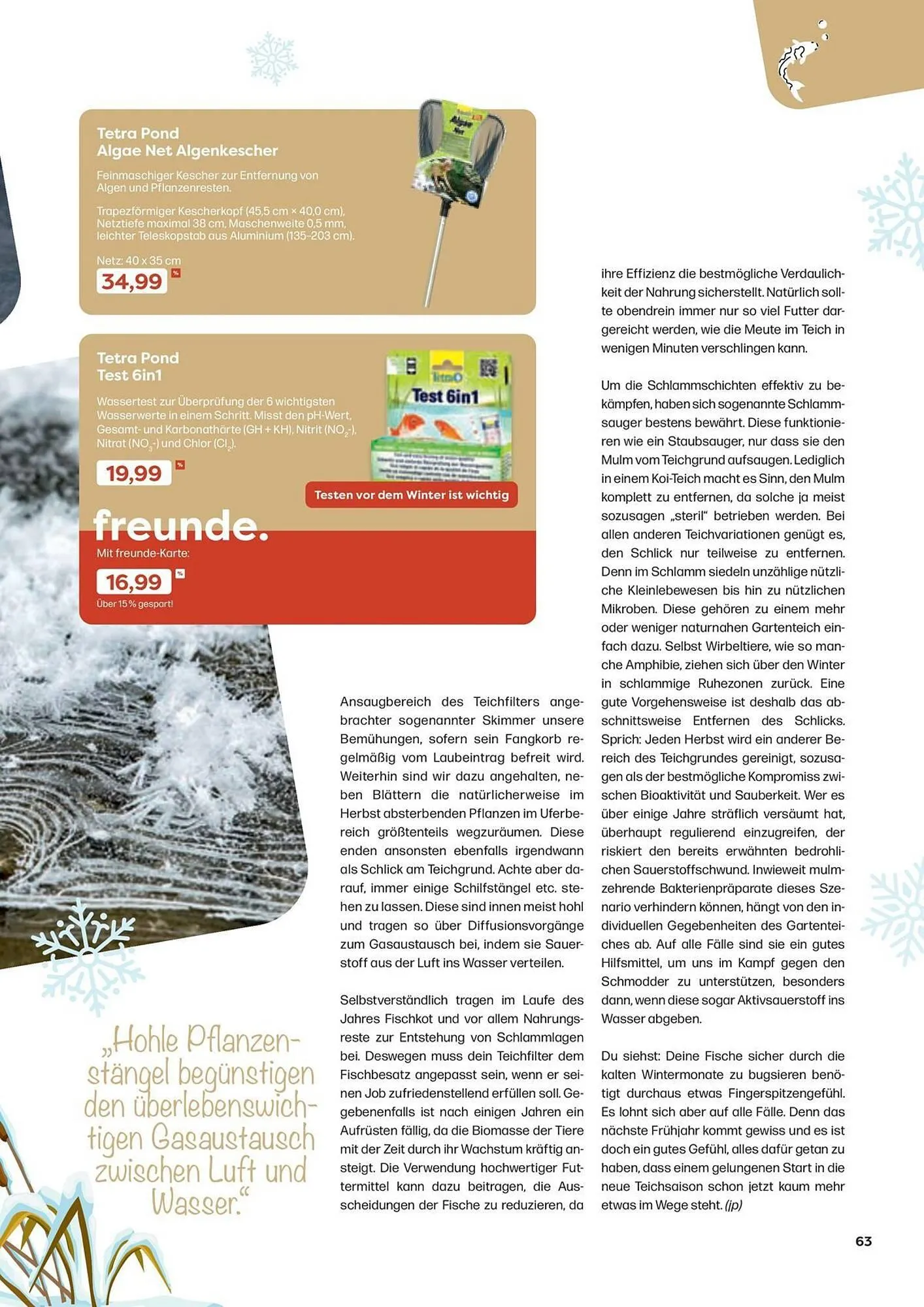 ZOO & Co Flugblatt von 30. August bis 8. November 2024 - Flugblätt seite 63