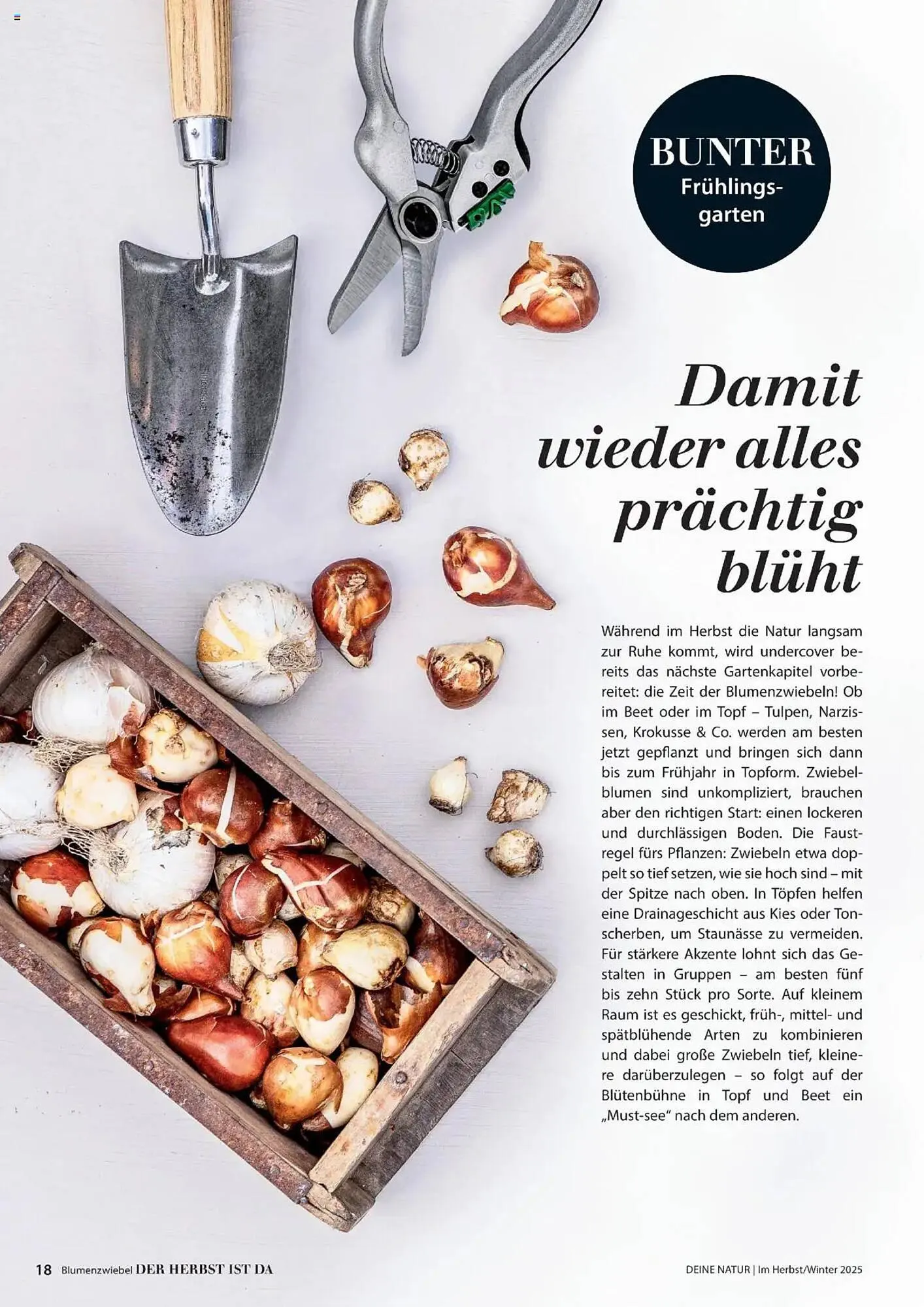 Dehner Flugblatt von 10. Oktober bis 30. November 2025 - Flugblätt seite 18