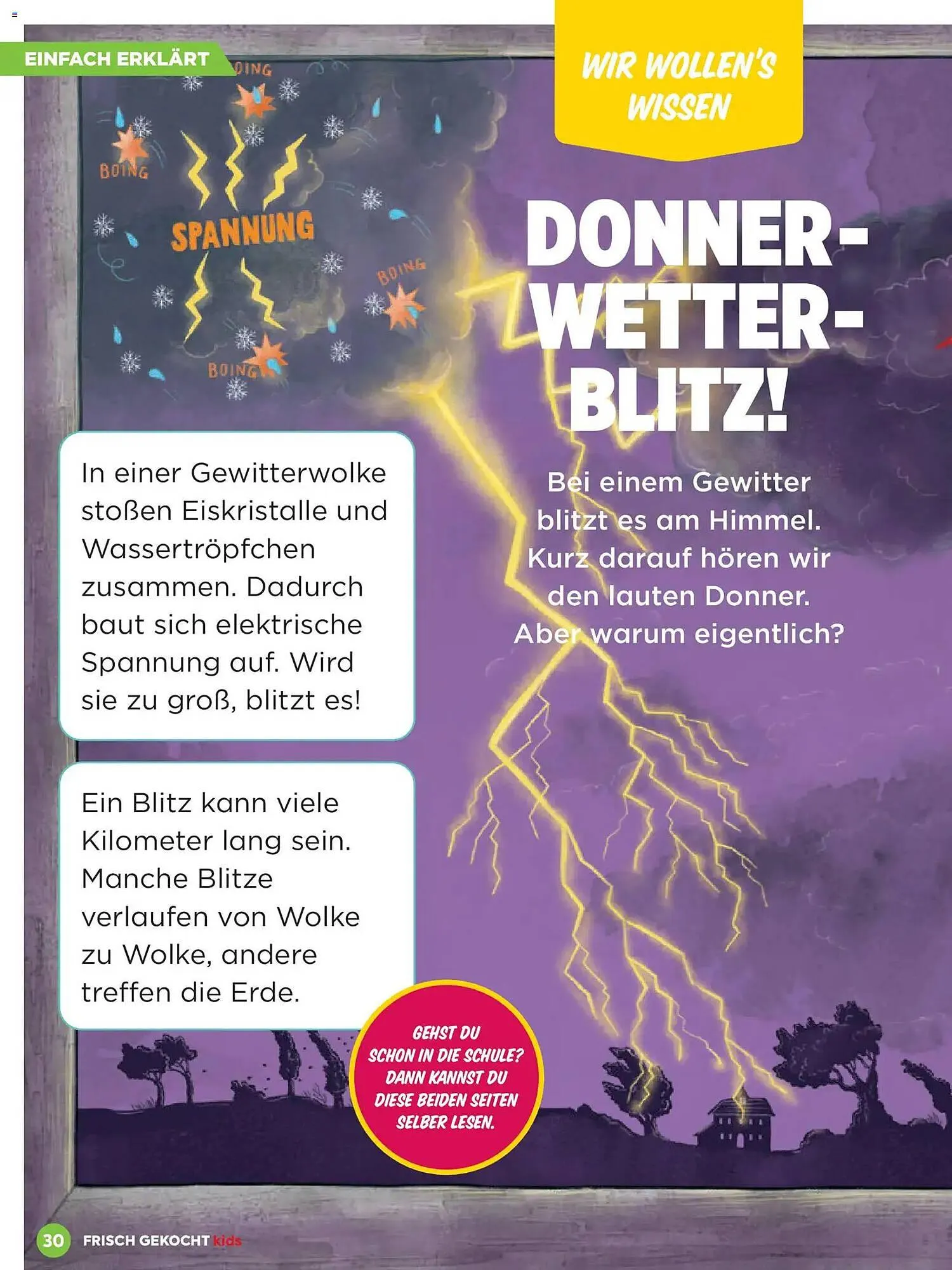 Billa Flugblatt von 1. März bis 31. Mai 2026 - Flugblätt seite 30