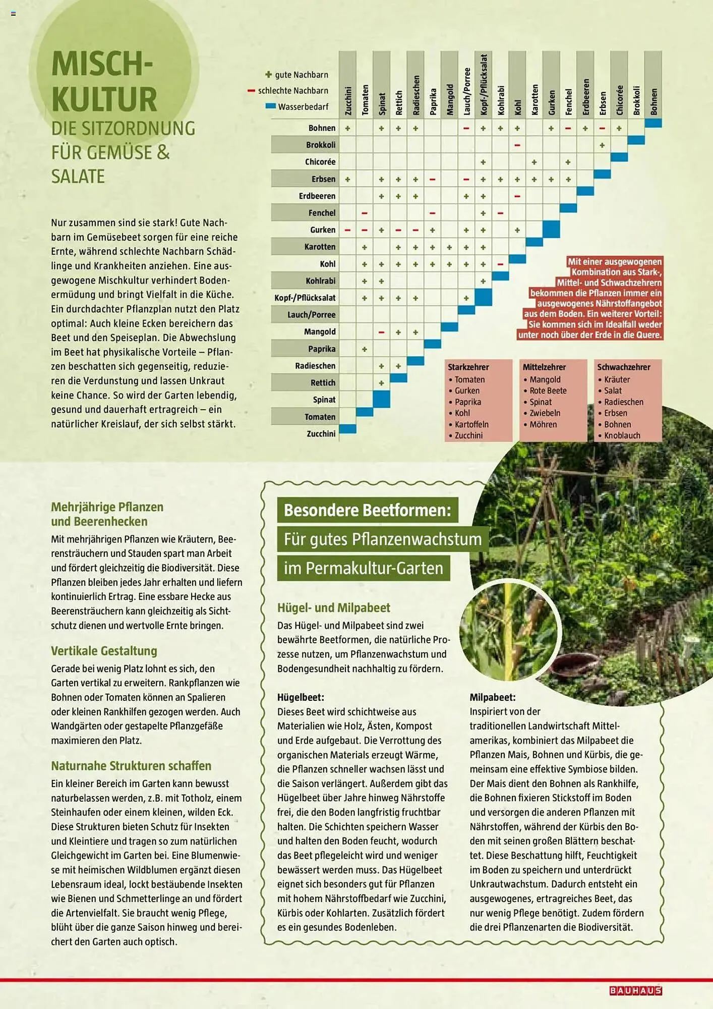 Bauhaus Flugblatt von 1. Juli bis 6. März 2026 - Flugblätt seite 41